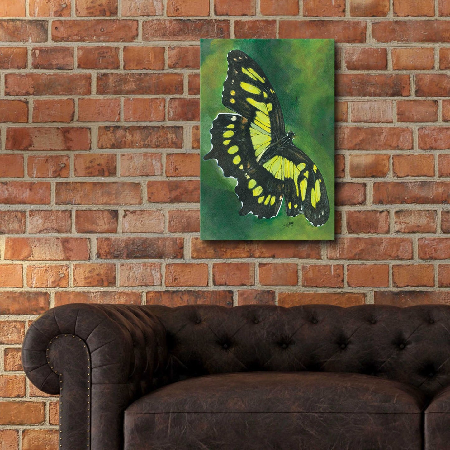 Epic Art 'Malachite Butterfly' by Barbara Keith, Acrylic Glass Wall Art,16x24