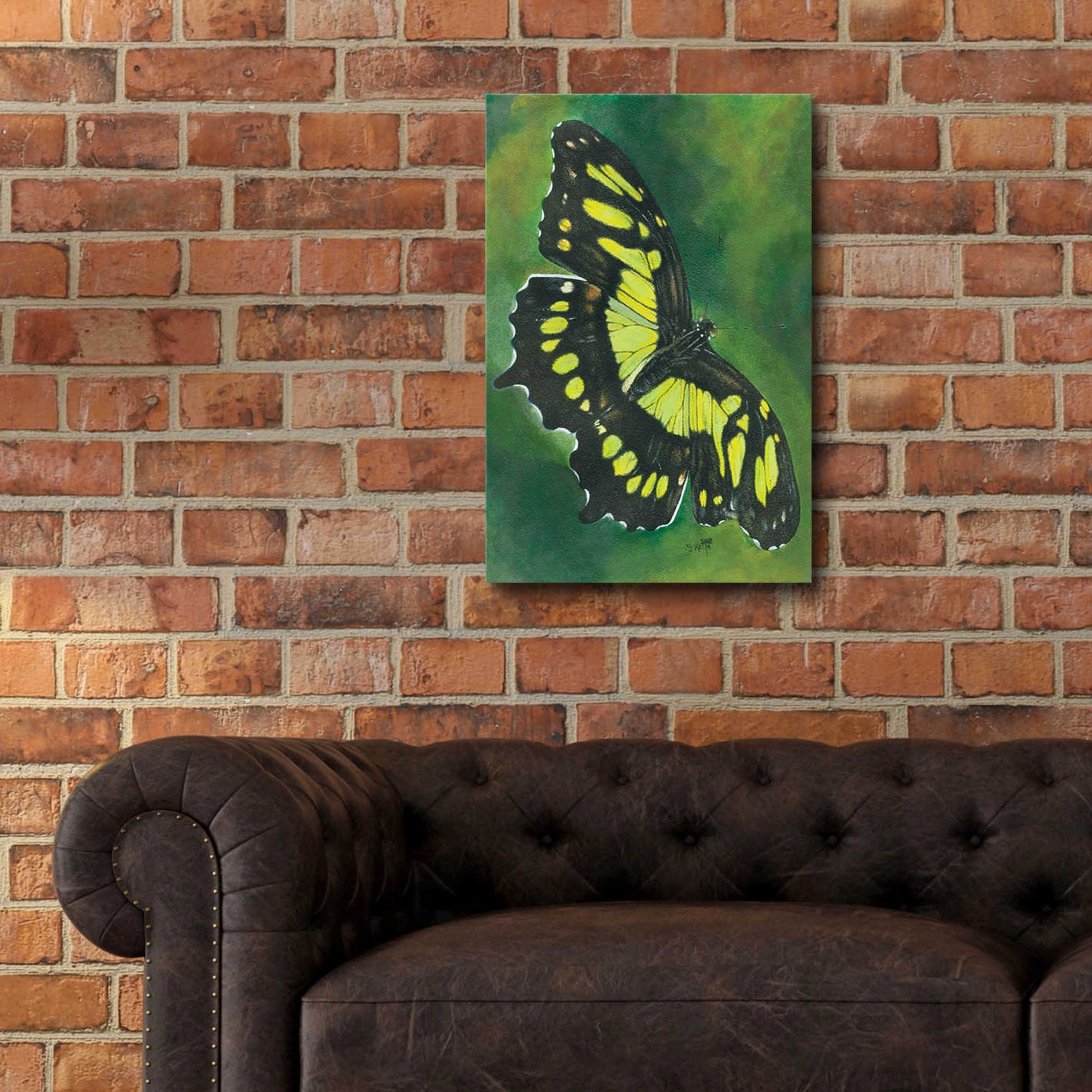 Epic Art 'Malachite Butterfly' by Barbara Keith, Acrylic Glass Wall Art,16x24