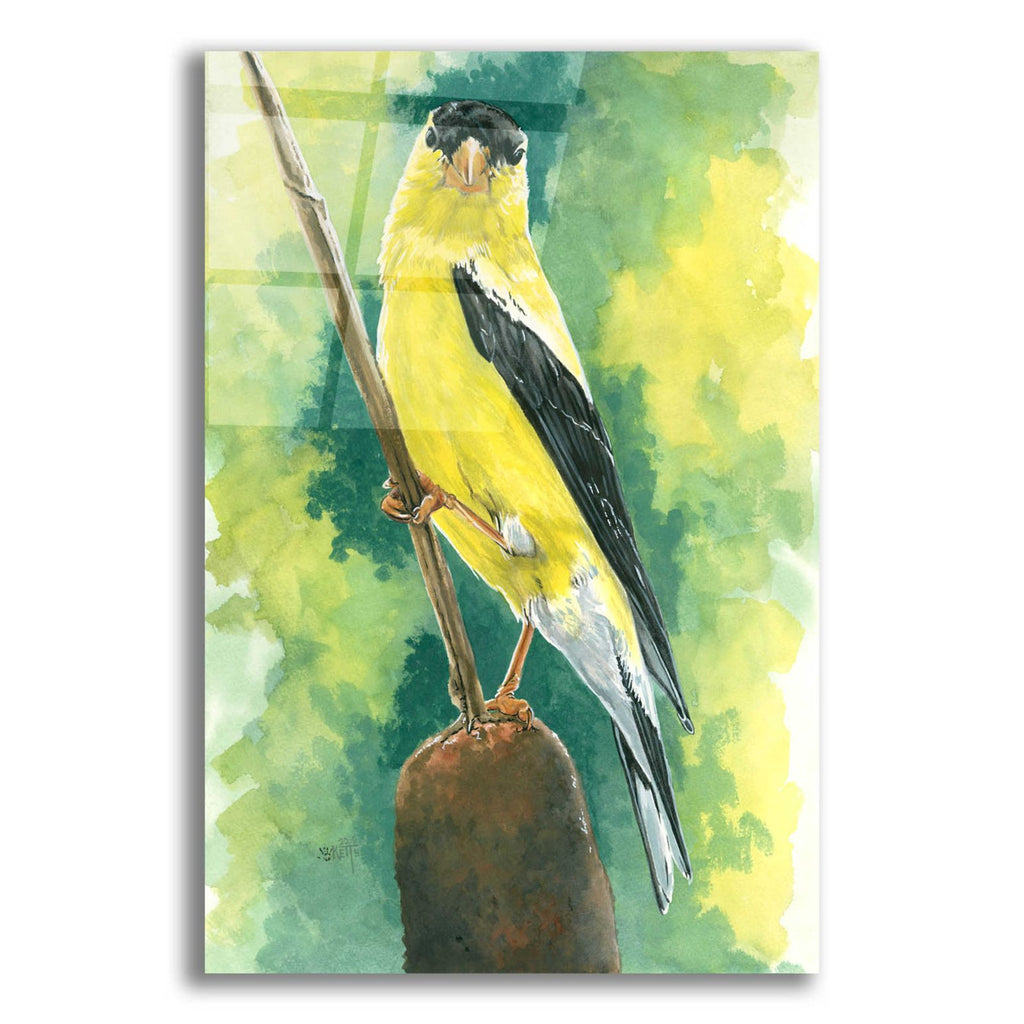 Aureate by Barbara Keith acrylic glass wall art