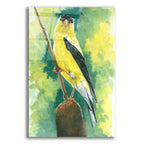 Aureate by Barbara Keith acrylic glass wall art