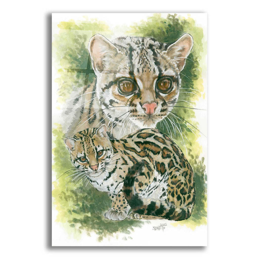 Bantom by Barbara Keith acrylic glass wall art