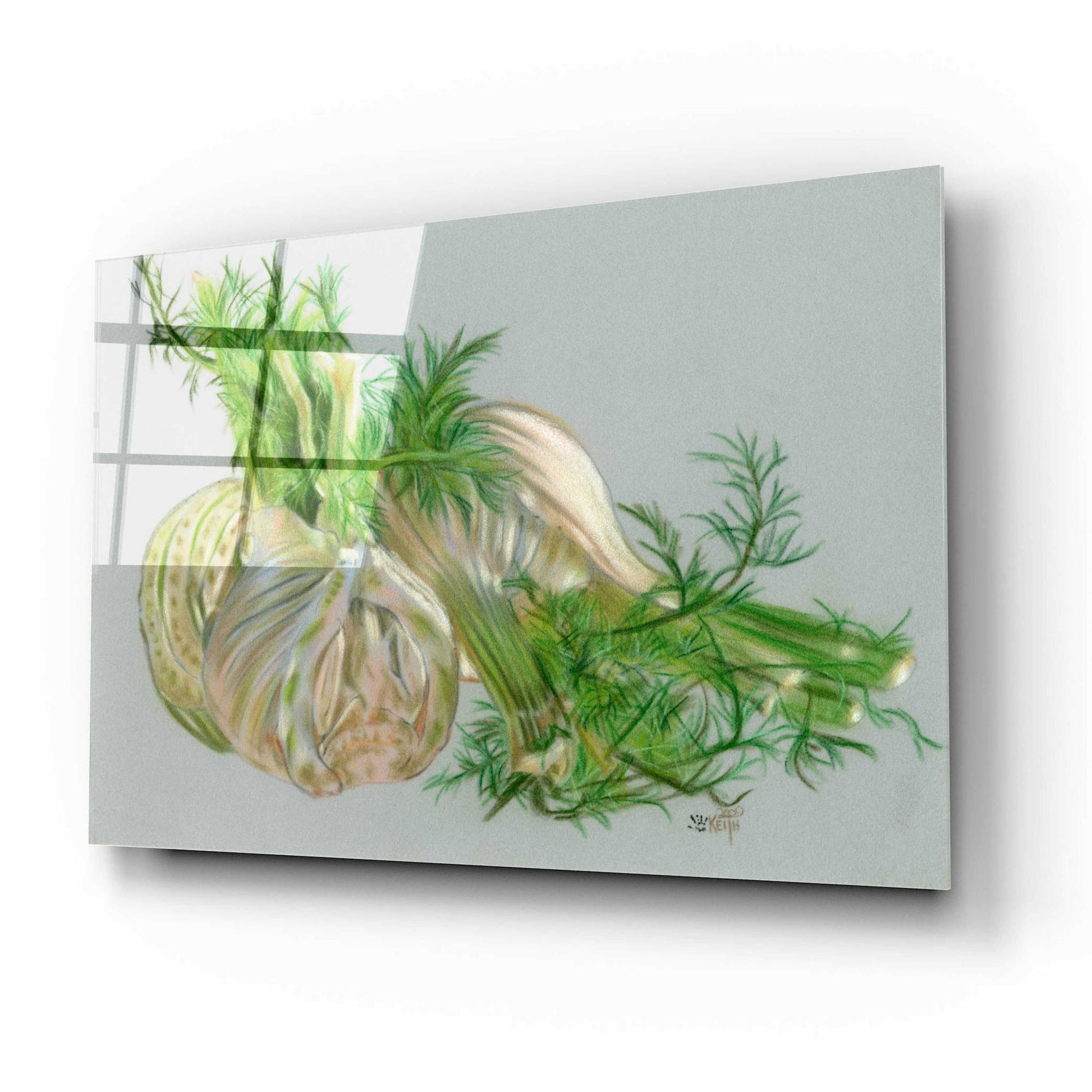 Epic Art 'Fennel' by Barbara Keith, Acrylic Glass Wall Art,16x12