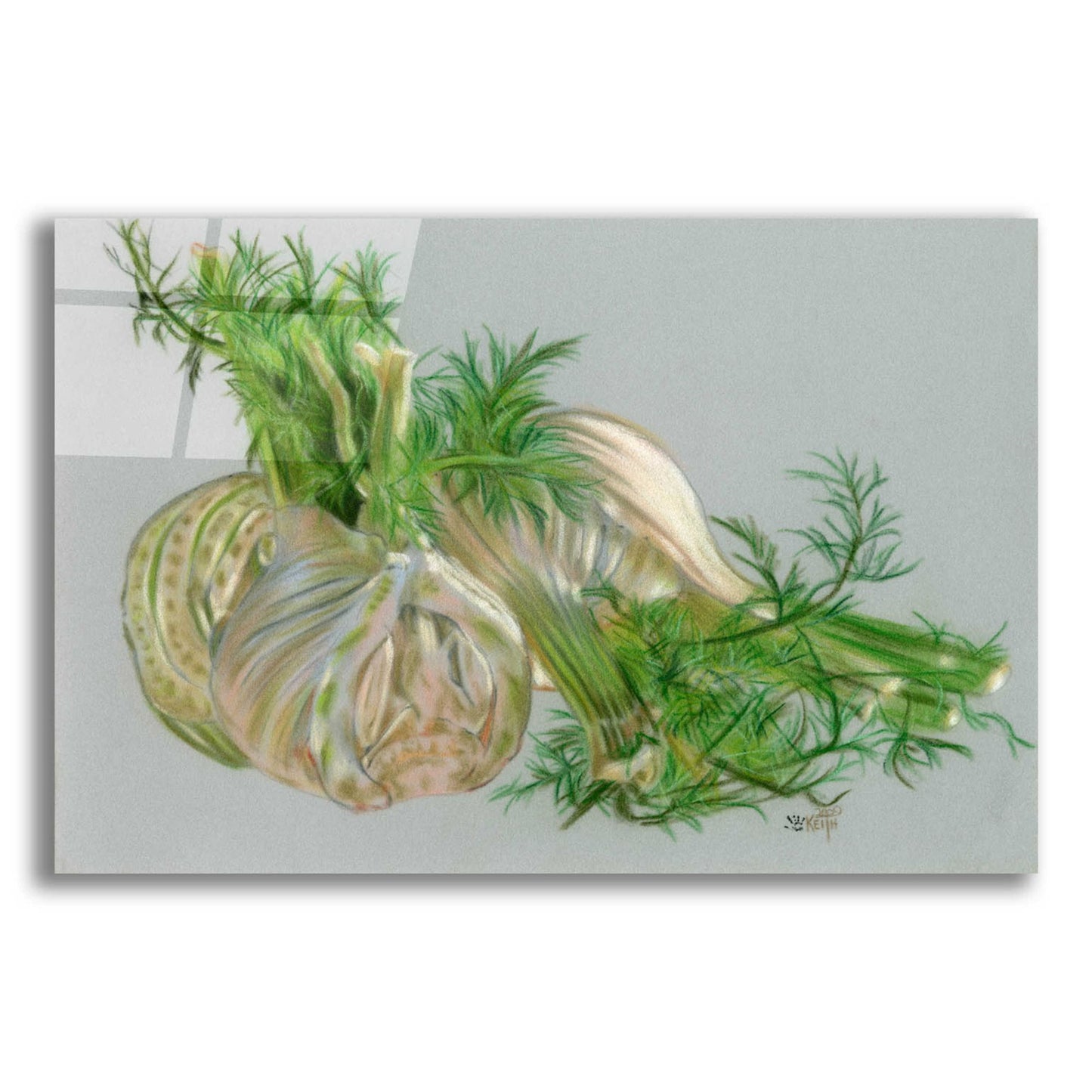 Epic Art 'Fennel' by Barbara Keith, Acrylic Glass Wall Art,16x12