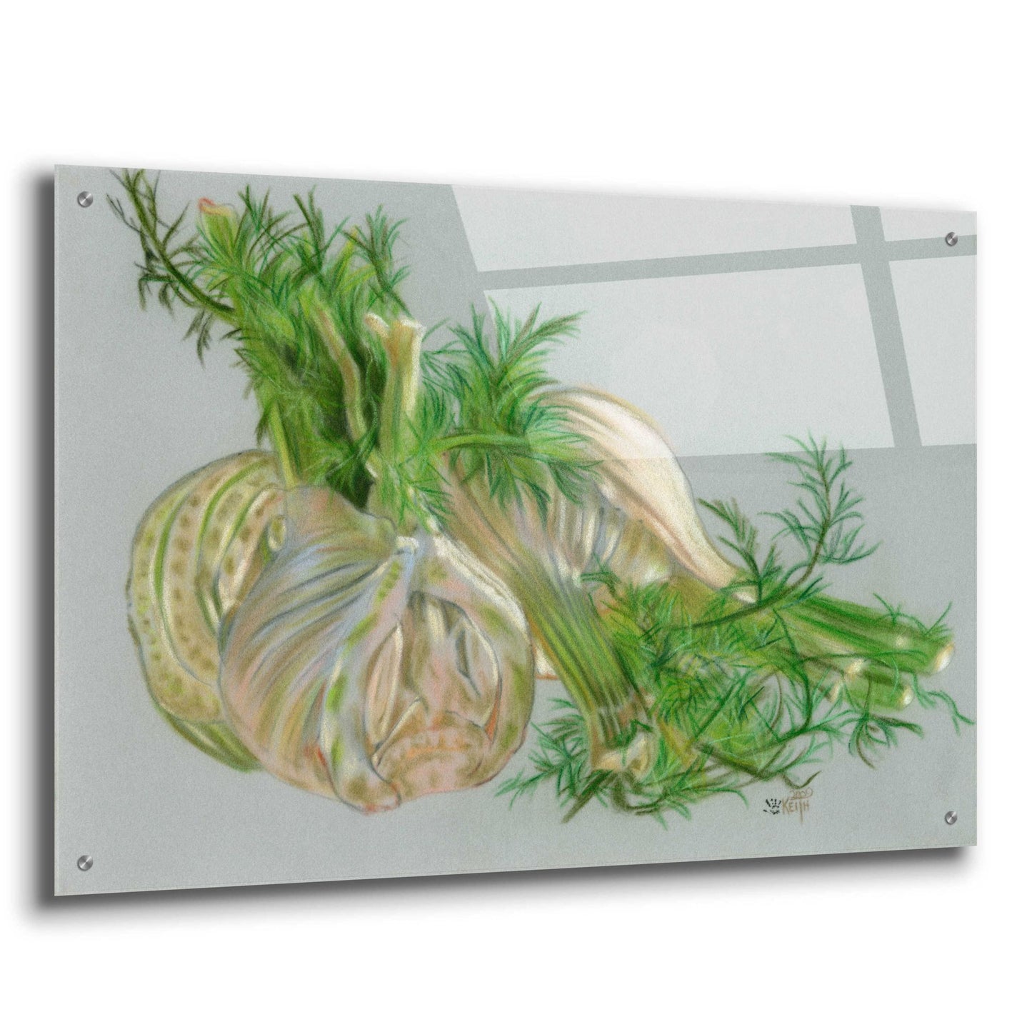 Epic Art 'Fennel' by Barbara Keith, Acrylic Glass Wall Art,36x24