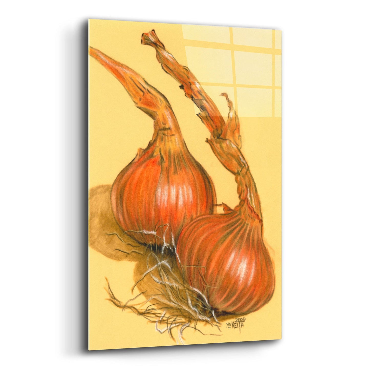 Epic Art 'Spanish Onions' by Barbara Keith, Acrylic Glass Wall Art,12x16