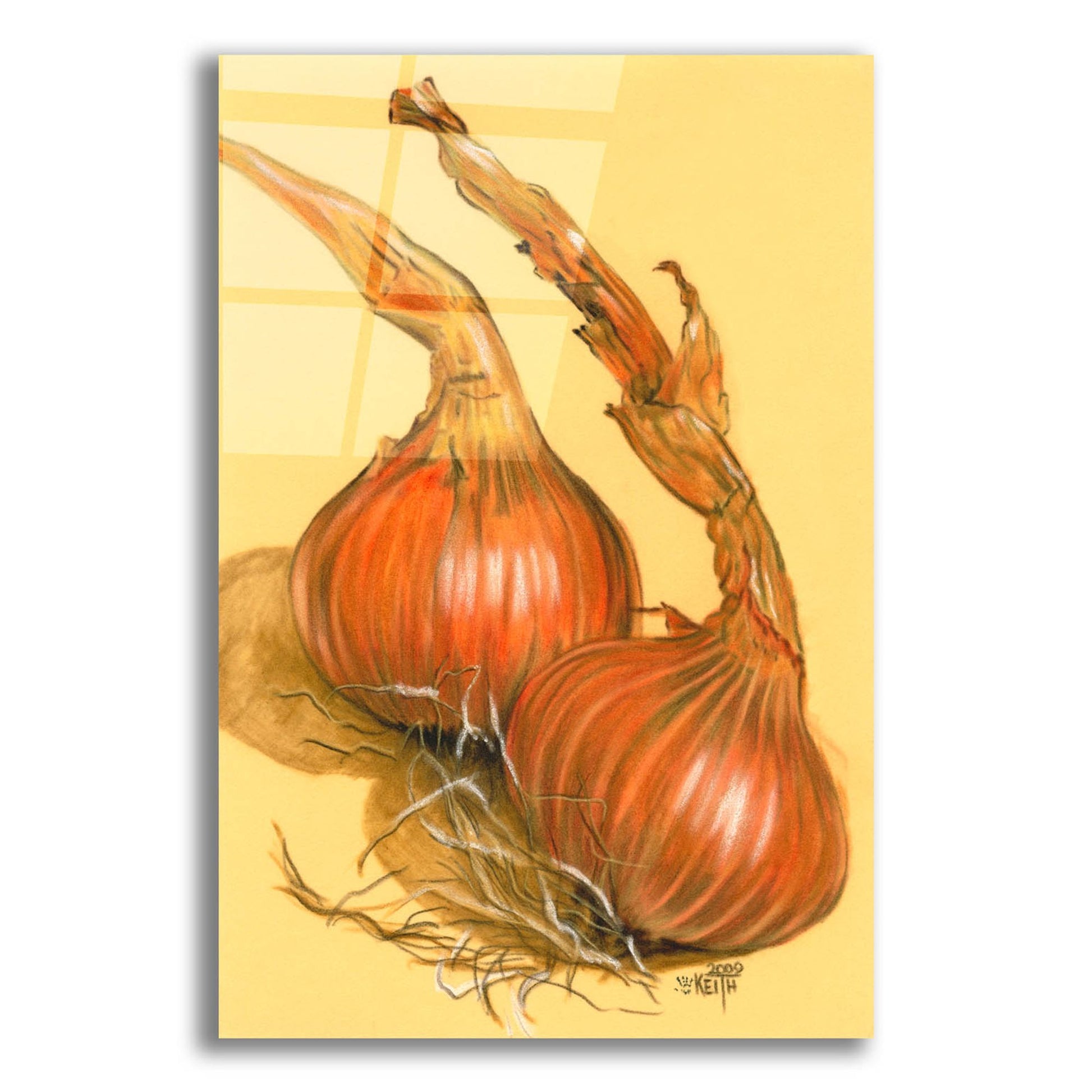 Epic Art 'Spanish Onions' by Barbara Keith, Acrylic Glass Wall Art,16x24