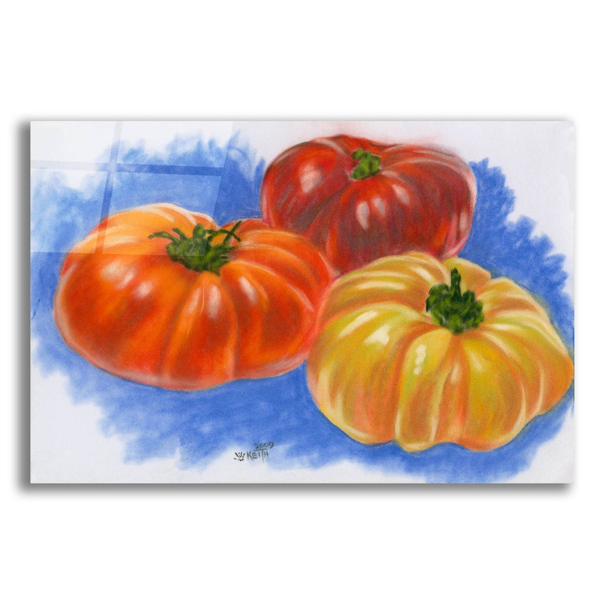 Variety by Barbara Keith acrylic glass wall art