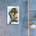 Marauder by Barbara Keith - 16x24 acrylic wall art in a room