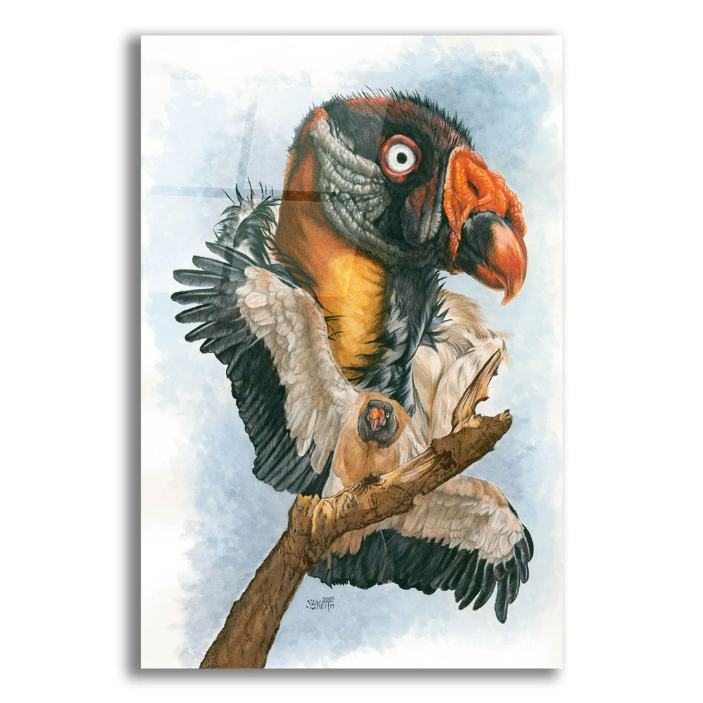 Marauder by Barbara Keith acrylic glass wall art