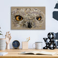 Snowy Owl by Barbara Keith - 16x12 acrylic wall art in a room