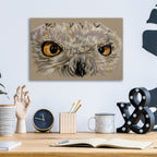 Snowy Owl by Barbara Keith - 16x12 acrylic wall art in a room