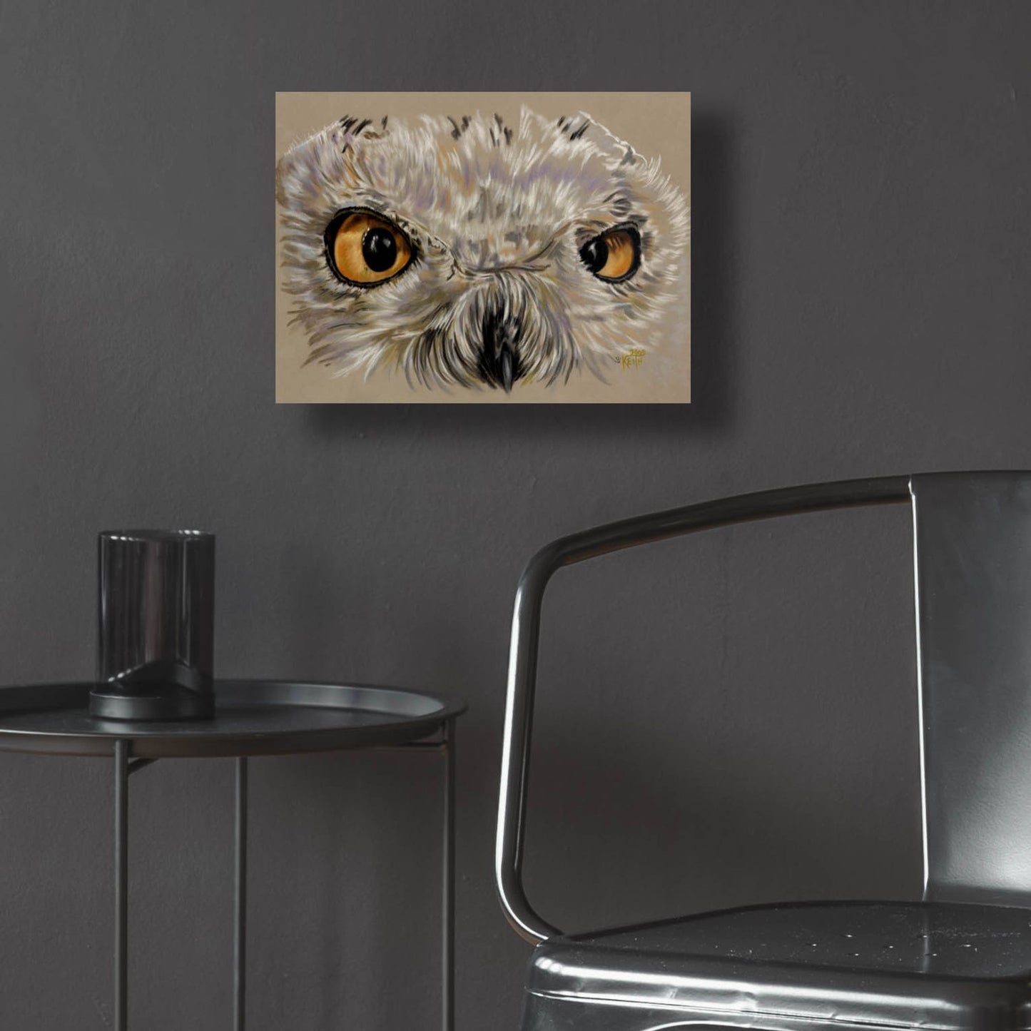 Epic Art 'Snowy Owl' by Barbara Keith, Acrylic Glass Wall Art,16x12