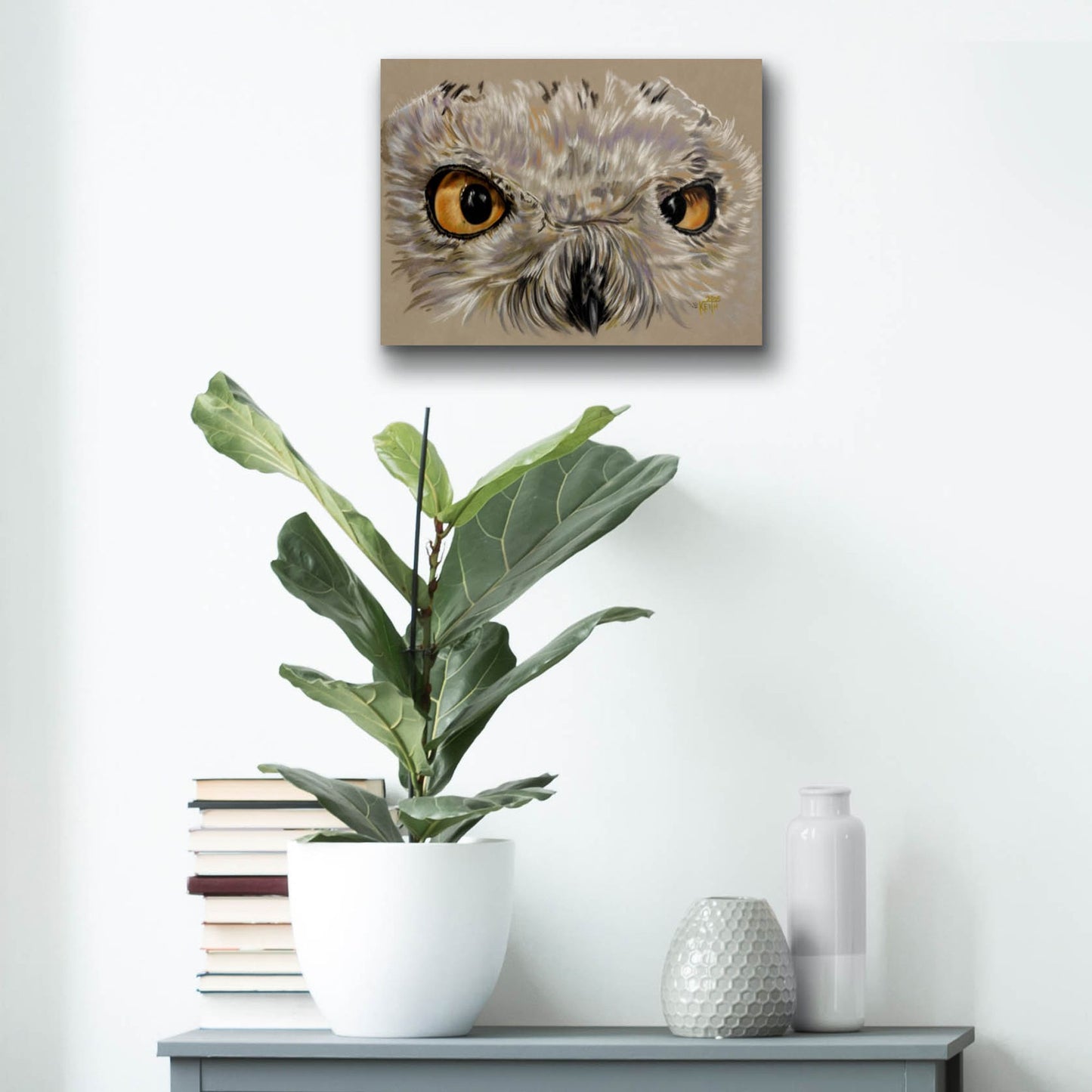 Epic Art 'Snowy Owl' by Barbara Keith, Acrylic Glass Wall Art,16x12