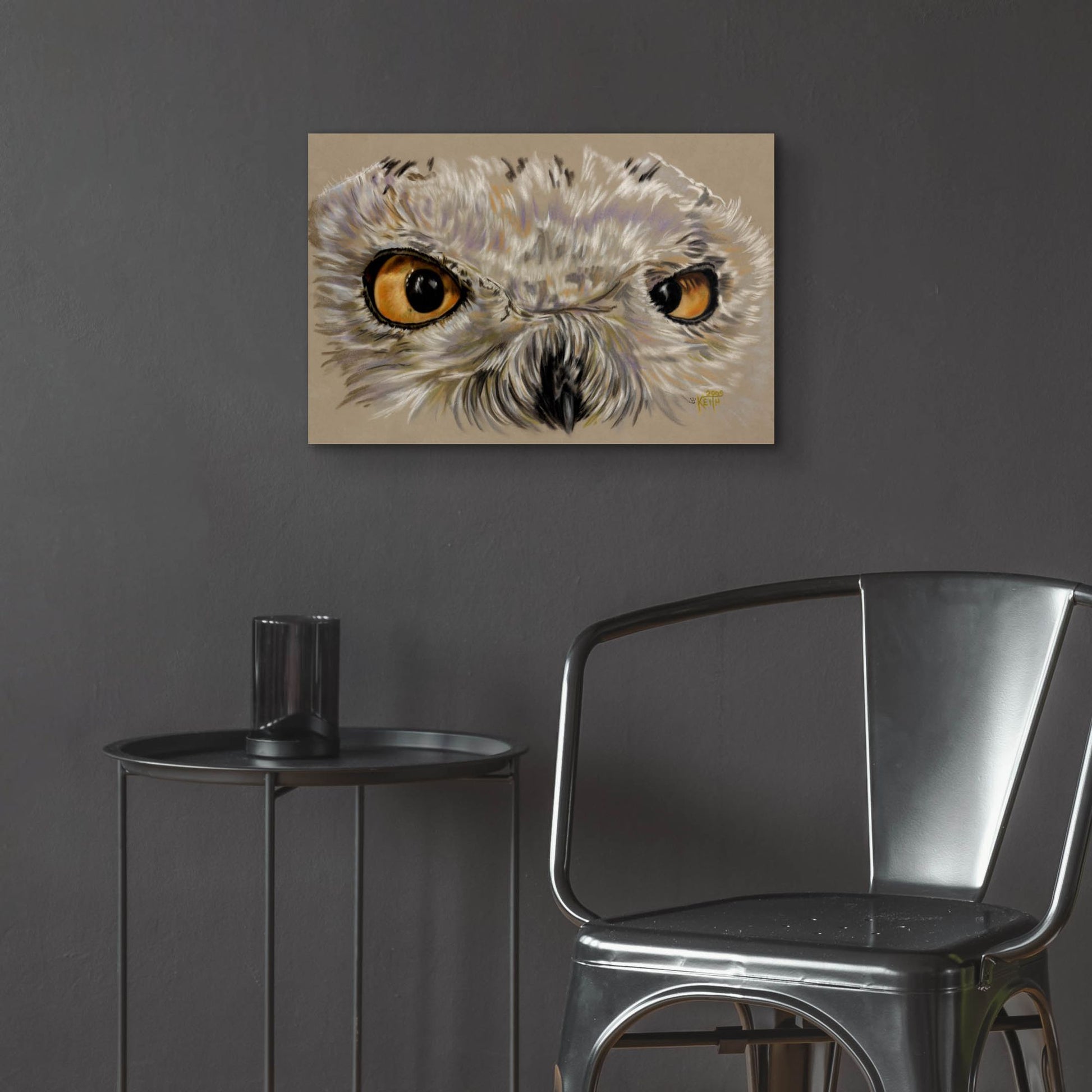 Epic Art 'Snowy Owl' by Barbara Keith, Acrylic Glass Wall Art,24x16