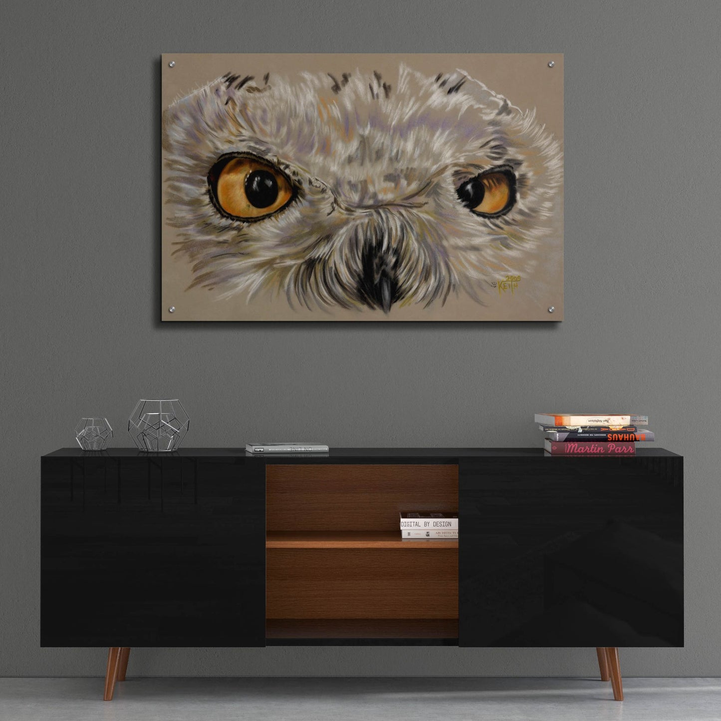 Epic Art 'Snowy Owl' by Barbara Keith, Acrylic Glass Wall Art,36x24