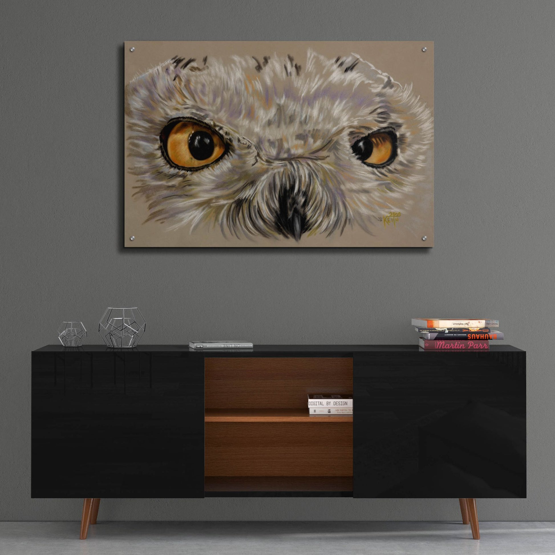 Epic Art 'Snowy Owl' by Barbara Keith, Acrylic Glass Wall Art,36x24