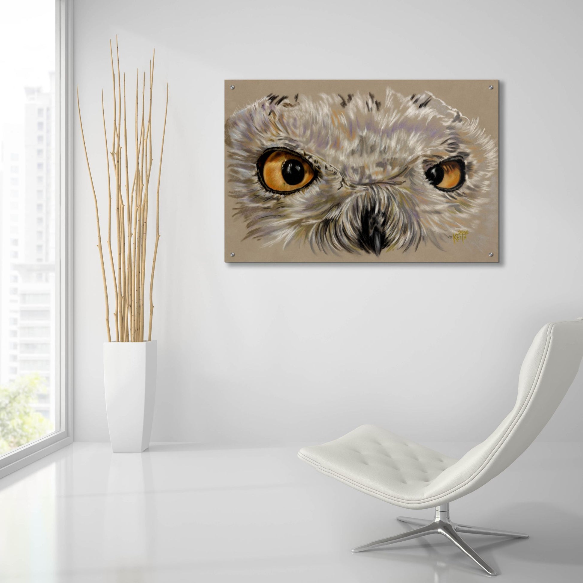 Epic Art 'Snowy Owl' by Barbara Keith, Acrylic Glass Wall Art,36x24