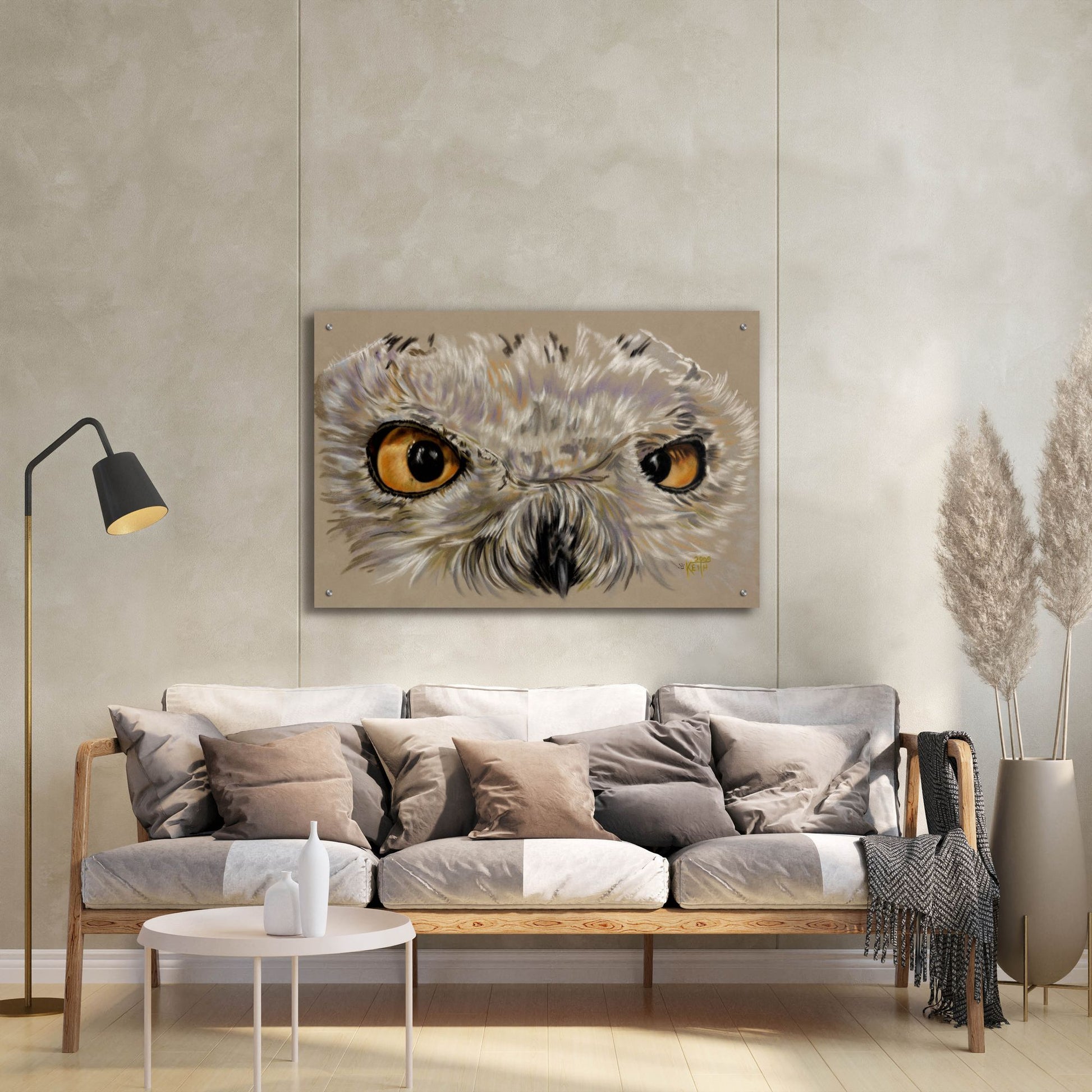 Epic Art 'Snowy Owl' by Barbara Keith, Acrylic Glass Wall Art,36x24