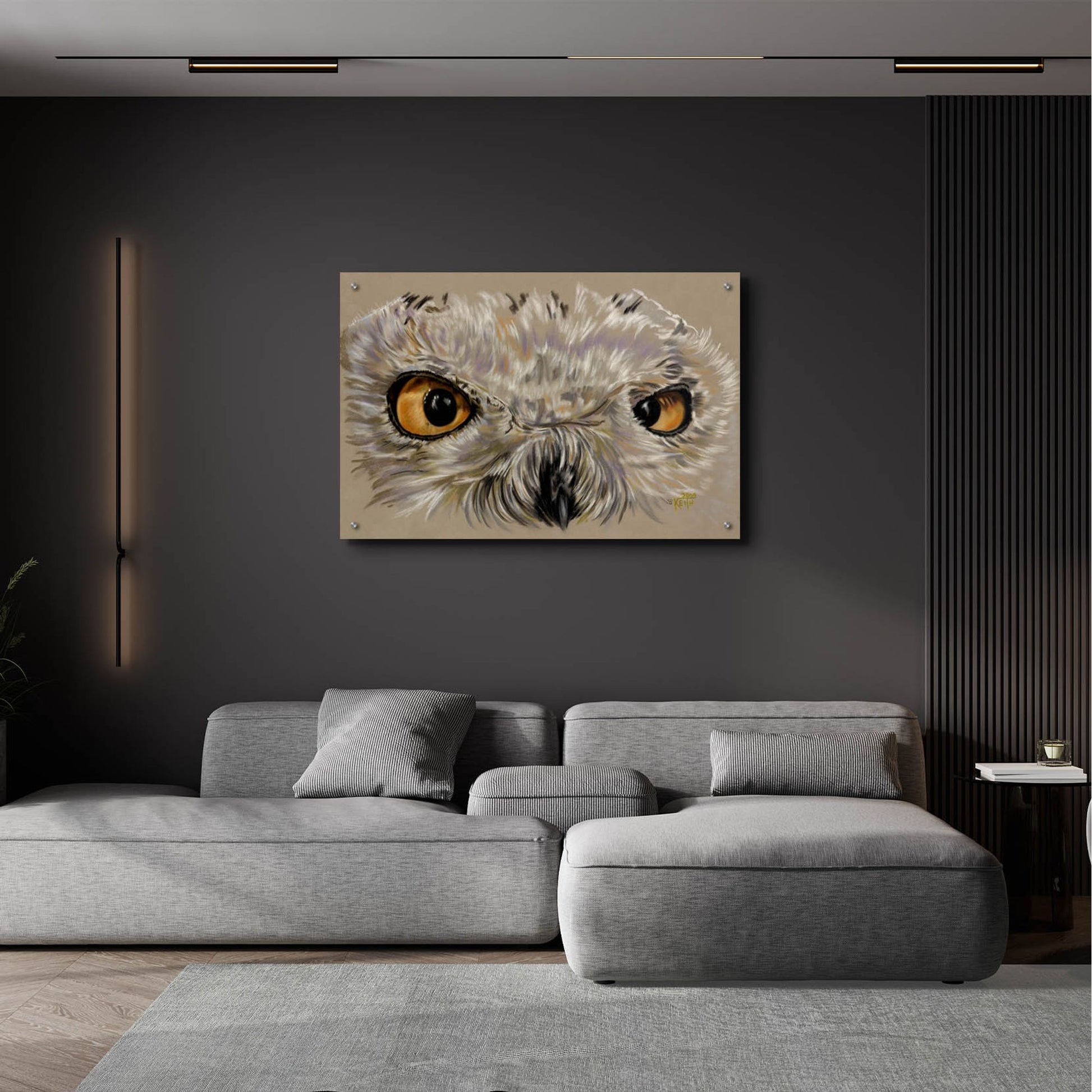 Epic Art 'Snowy Owl' by Barbara Keith, Acrylic Glass Wall Art,36x24