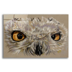 Snowy Owl by Barbara Keith acrylic glass wall art