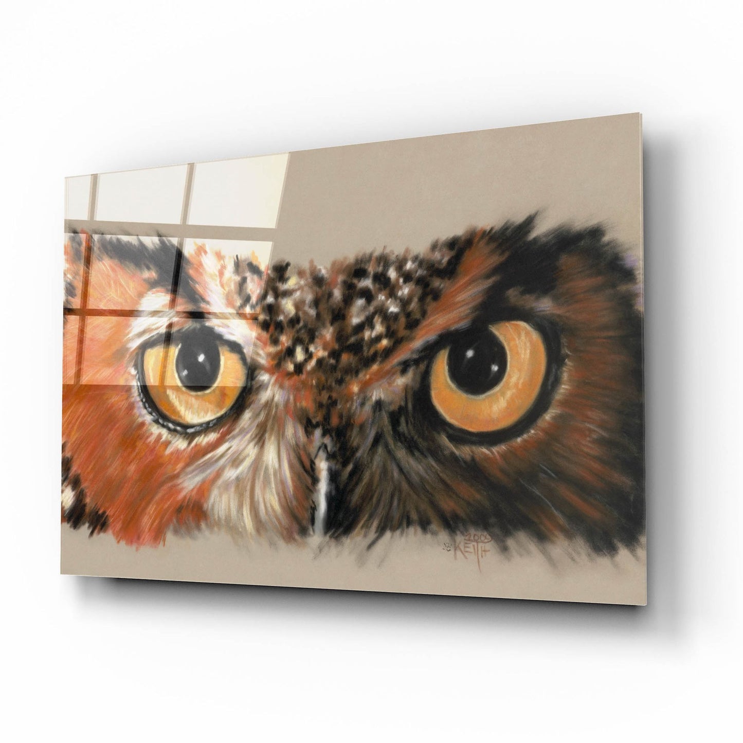 Epic Art 'Great Horned Owl' by Barbara Keith, Acrylic Glass Wall Art,16x12