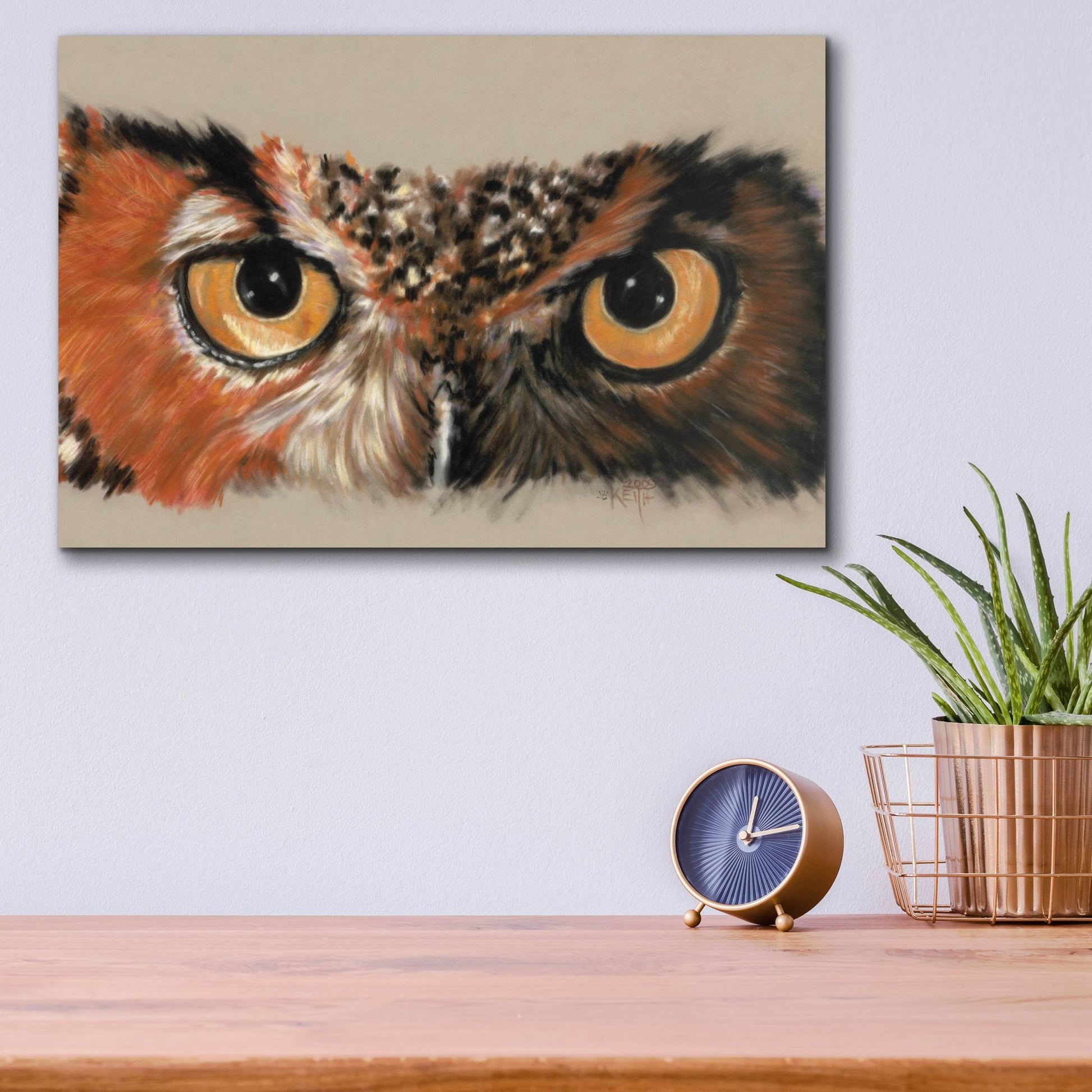 Epic Art 'Great Horned Owl' by Barbara Keith, Acrylic Glass Wall Art,16x12