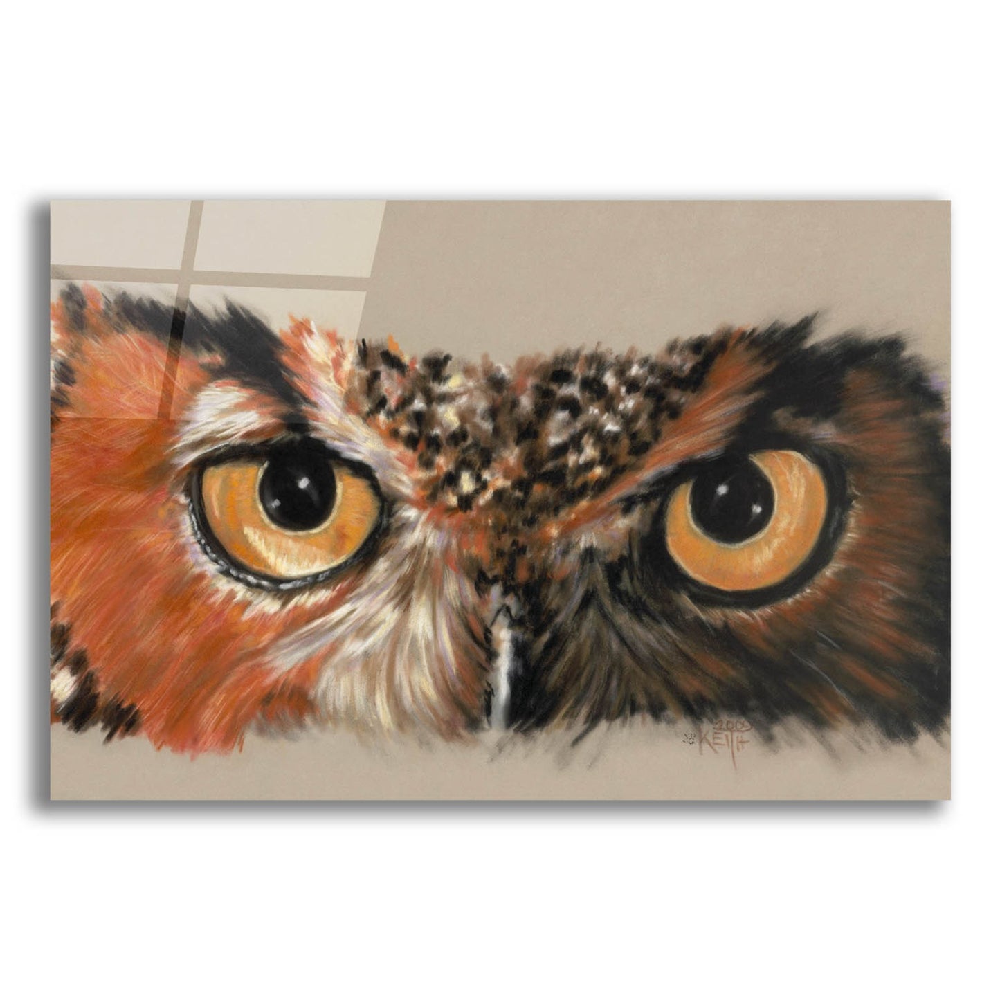 Epic Art 'Great Horned Owl' by Barbara Keith, Acrylic Glass Wall Art,16x12