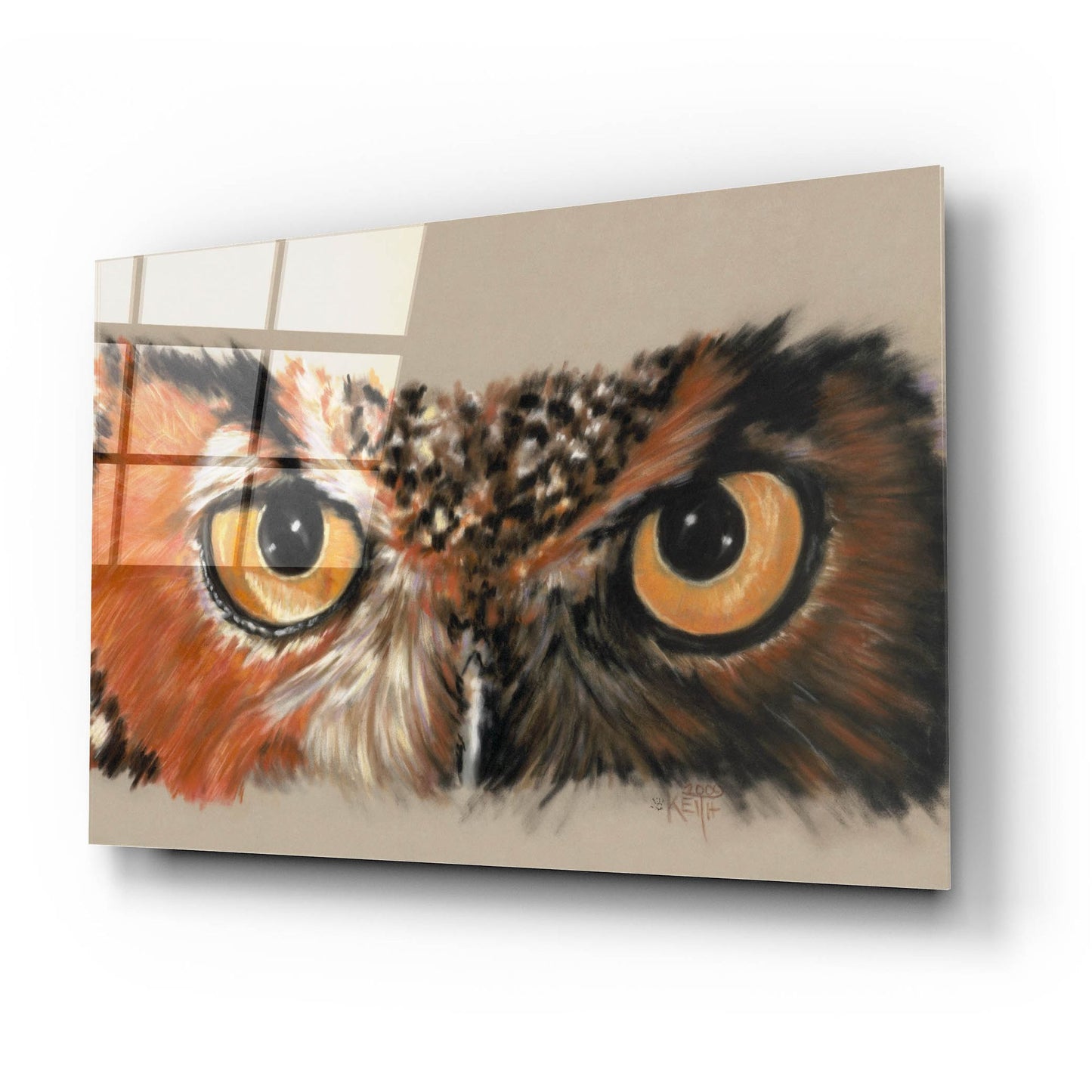 Epic Art 'Great Horned Owl' by Barbara Keith, Acrylic Glass Wall Art,24x16