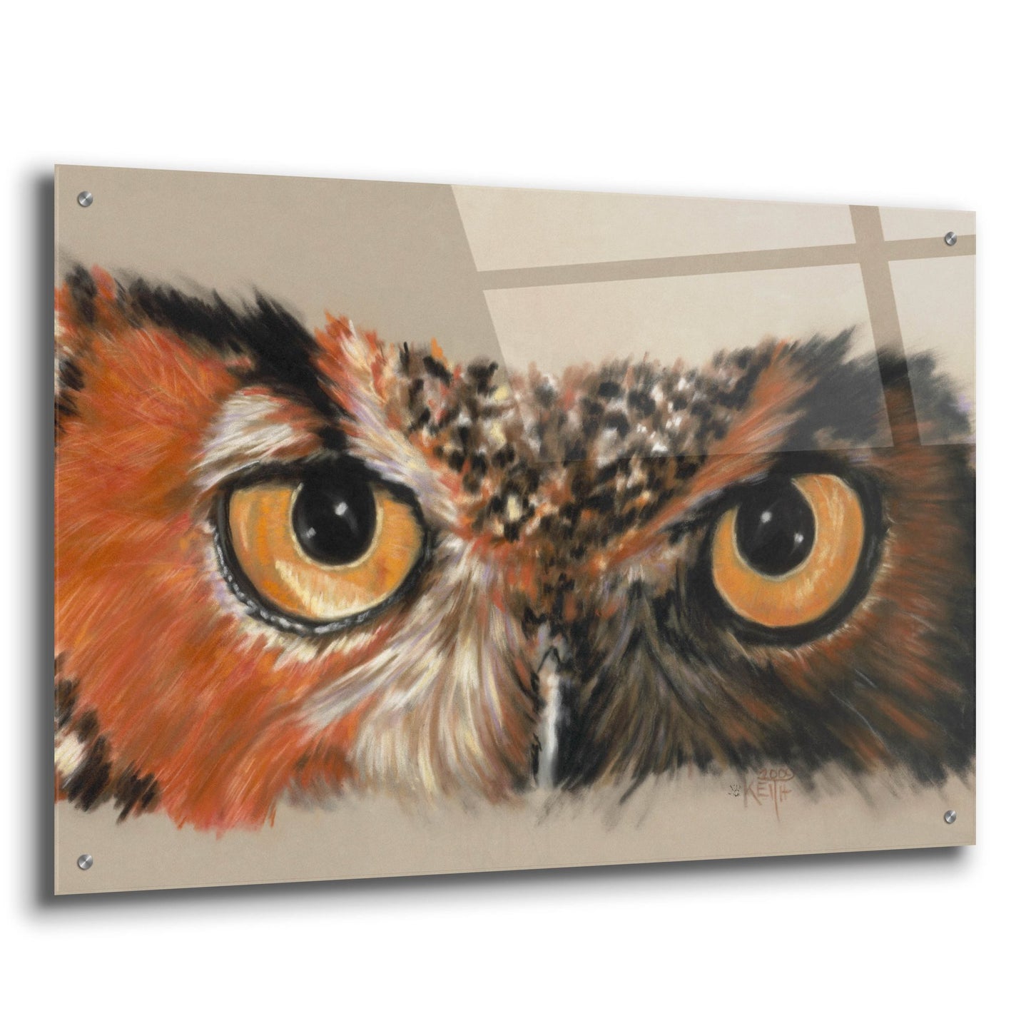 Epic Art 'Great Horned Owl' by Barbara Keith, Acrylic Glass Wall Art,36x24