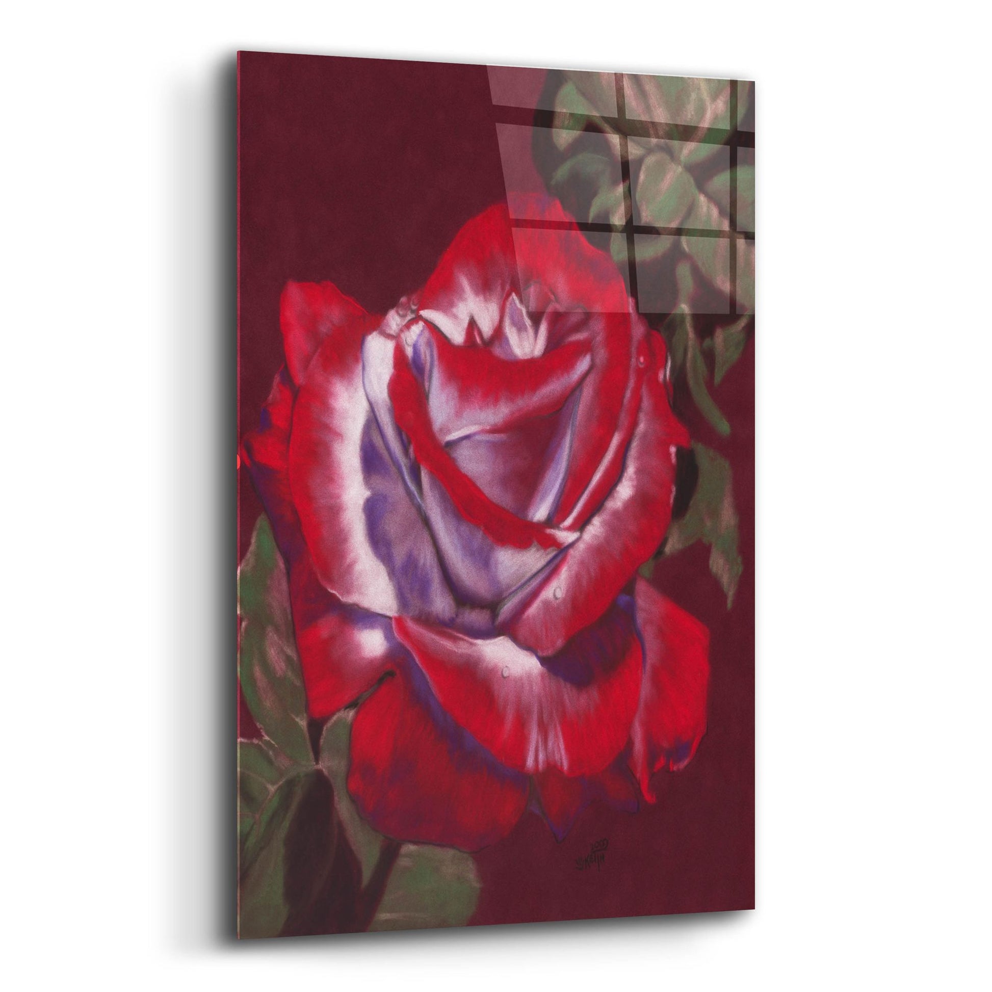 Epic Art 'Ruby' by Barbara Keith, Acrylic Glass Wall Art,12x16