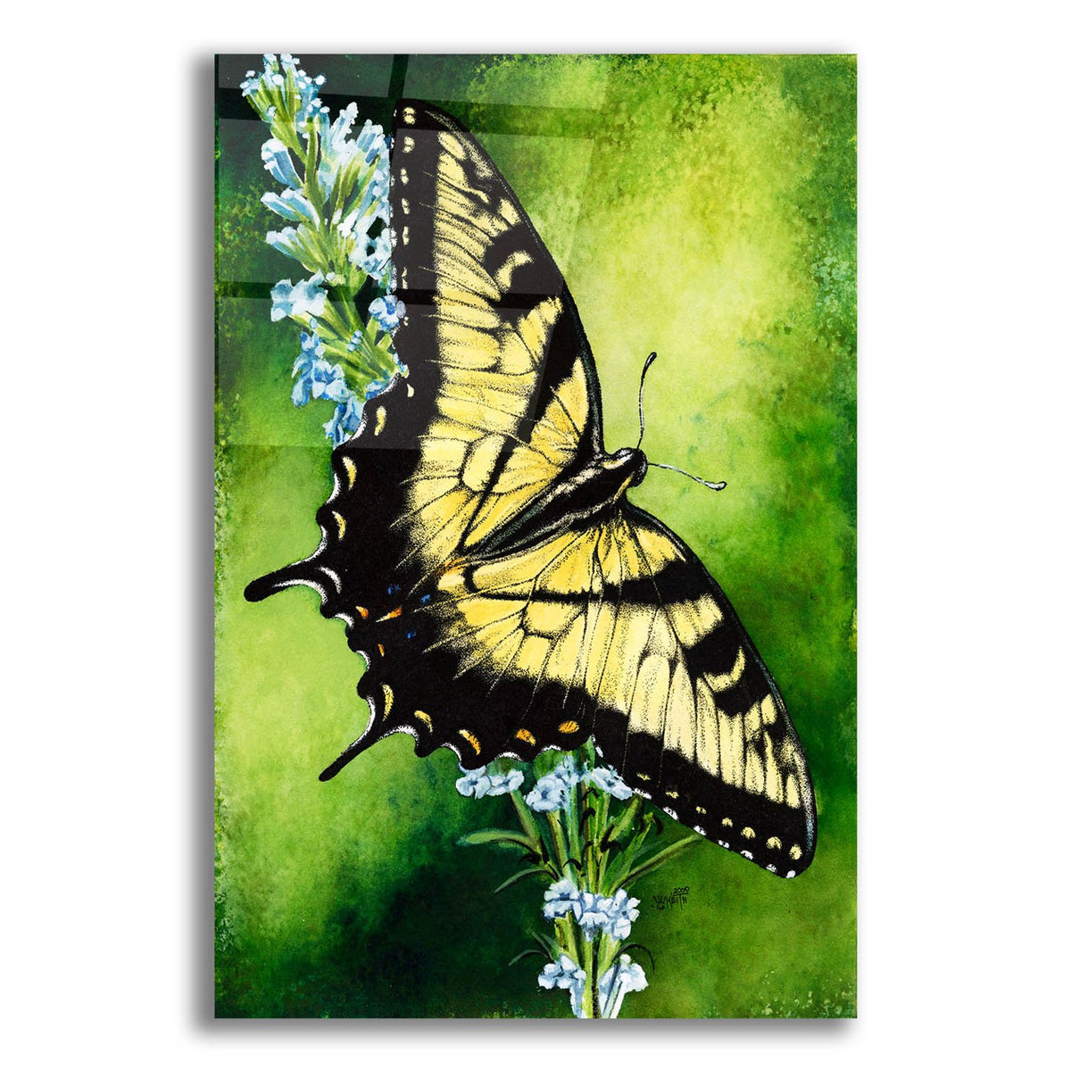Fragile Beauty by Barbara Keith acrylic glass wall art
