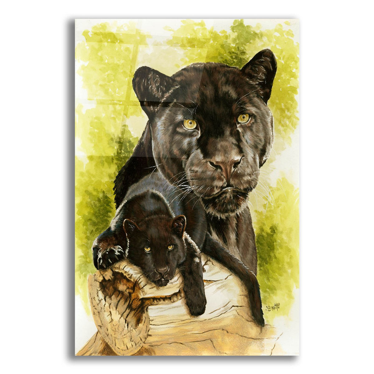 Melancholy by Barbara Keith acrylic glass wall art