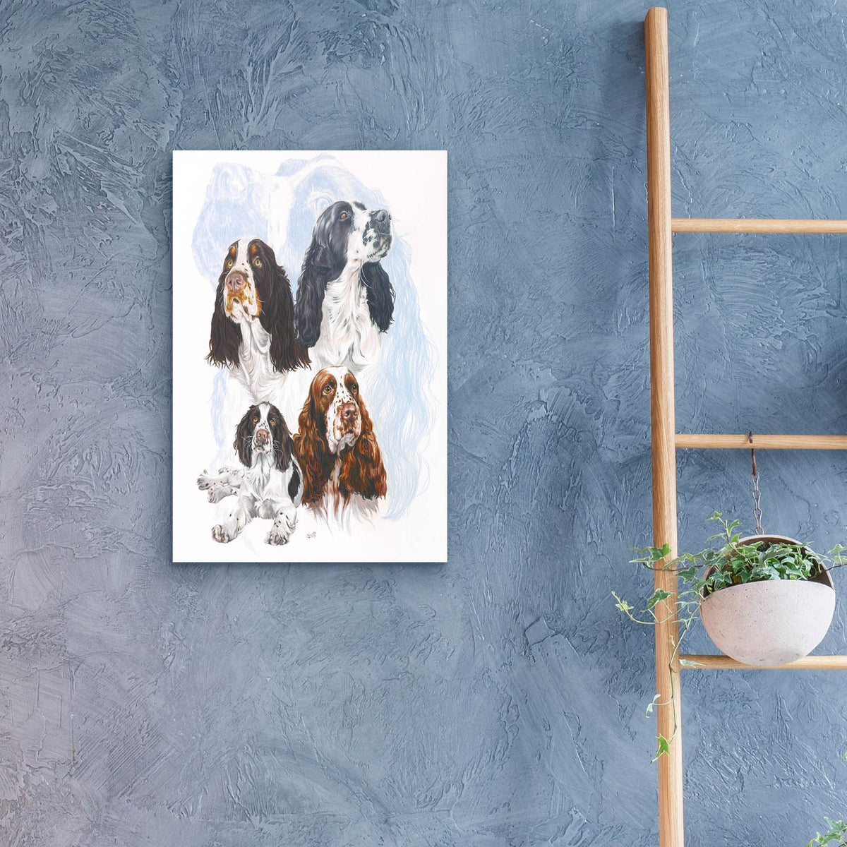 Springer Spaniel by Barbara Keith - 16x24 acrylic wall art in a room