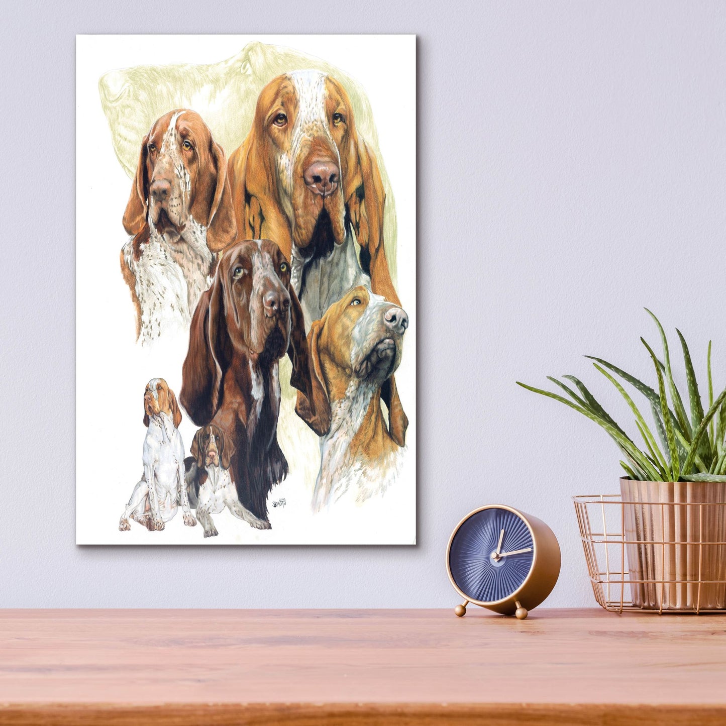 Epic Art 'Bracco Italiano Hound' by Barbara Keith, Acrylic Glass Wall Art,12x16