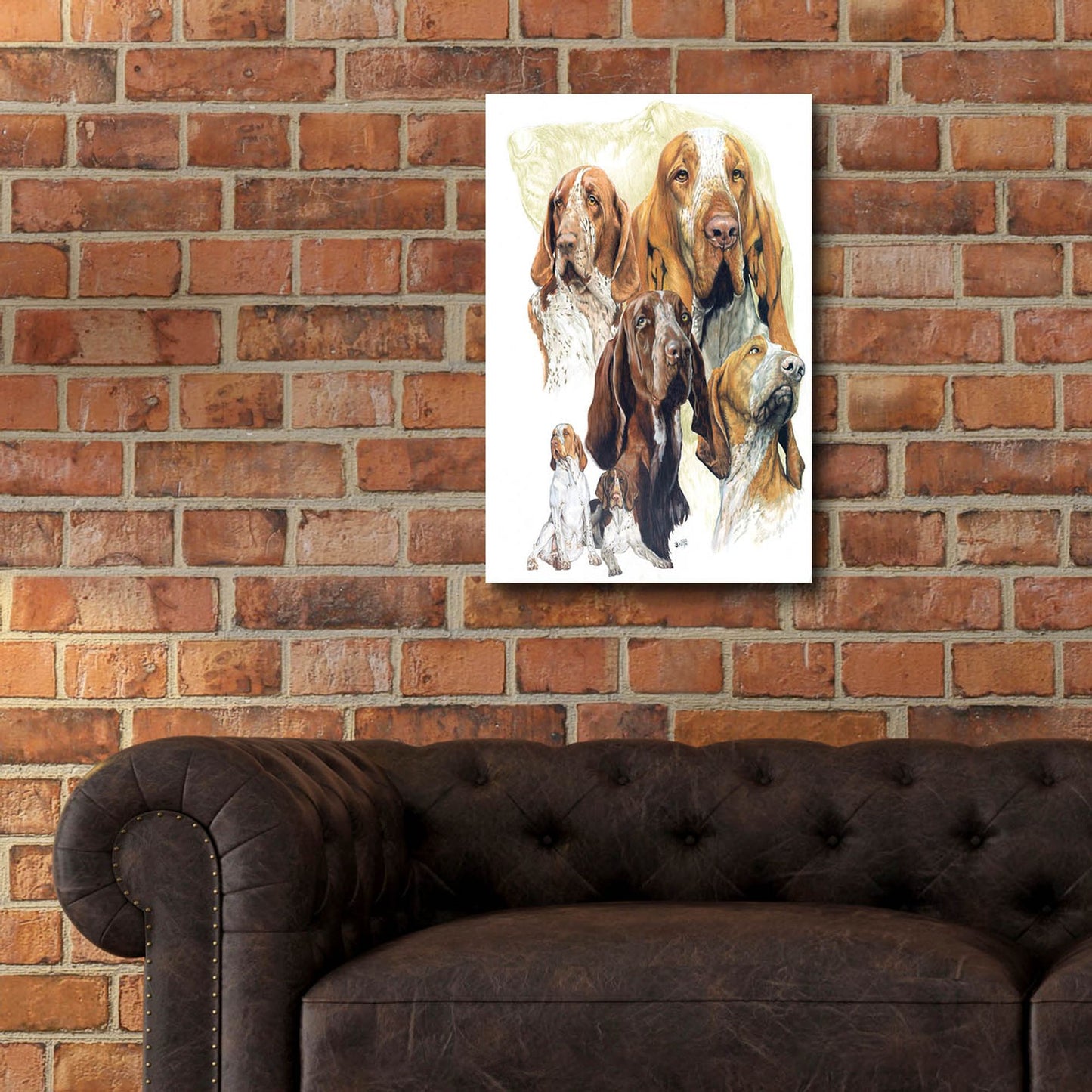 Epic Art 'Bracco Italiano Hound' by Barbara Keith, Acrylic Glass Wall Art,16x24