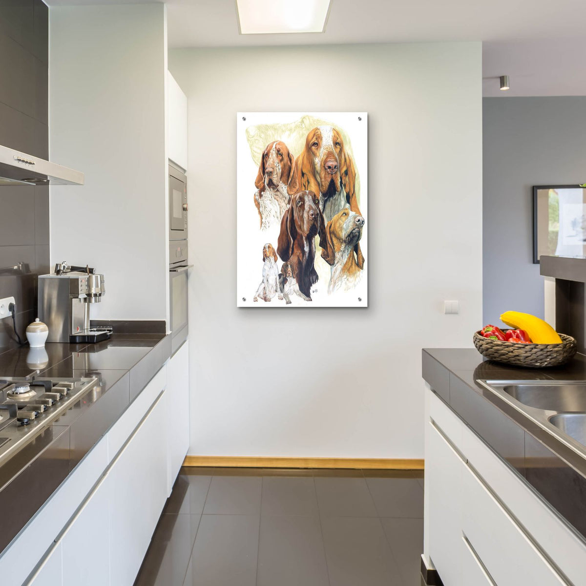 Bracco Italiano Hound by Barbara Keith - 24x36 acrylic wall art in a room