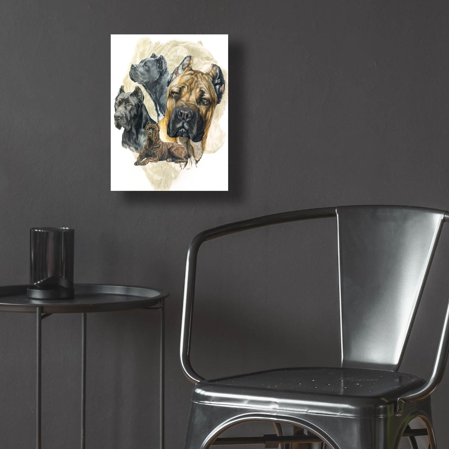 Epic Art 'Cane Corso' by Barbara Keith, Acrylic Glass Wall Art,12x16