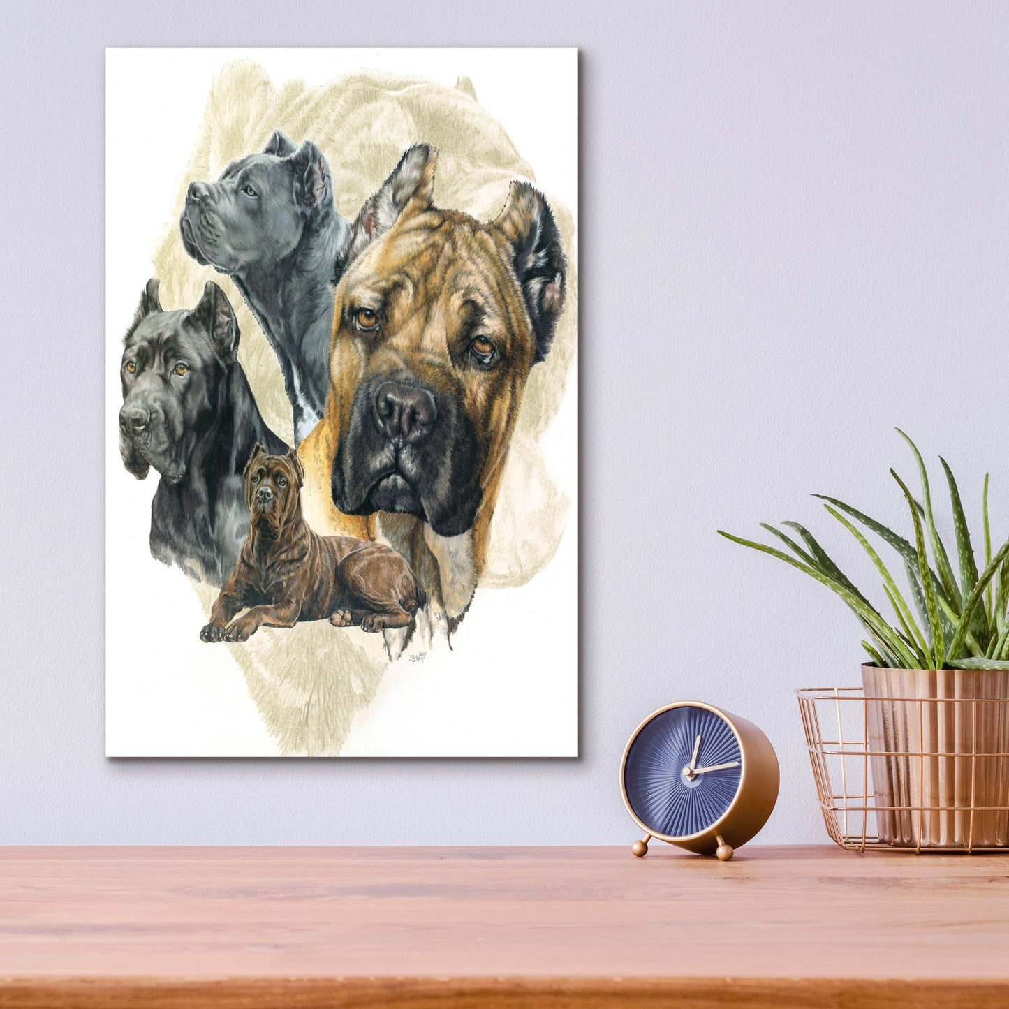 Epic Art 'Cane Corso' by Barbara Keith, Acrylic Glass Wall Art,12x16