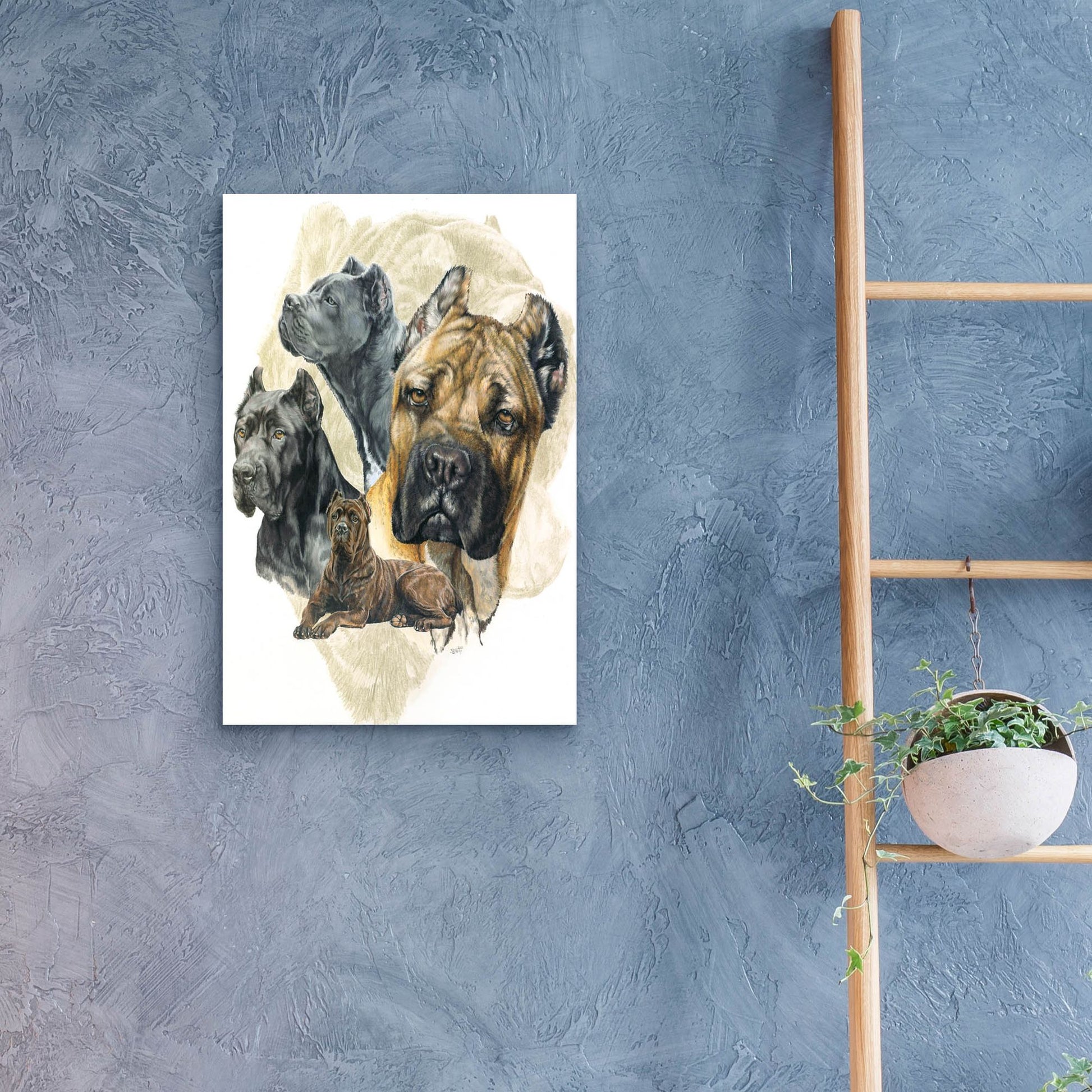 Epic Art 'Cane Corso' by Barbara Keith, Acrylic Glass Wall Art,16x24