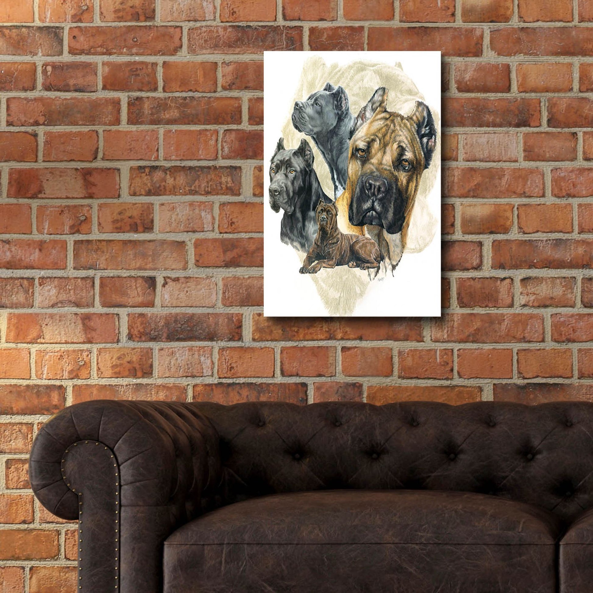 Epic Art 'Cane Corso' by Barbara Keith, Acrylic Glass Wall Art,16x24