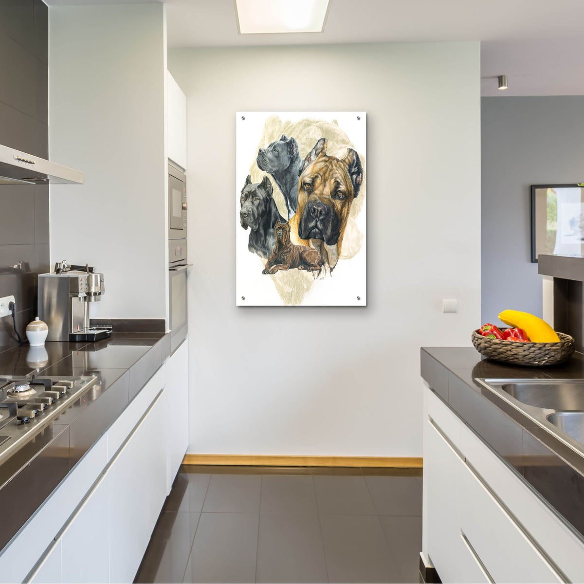 Epic Art 'Cane Corso' by Barbara Keith, Acrylic Glass Wall Art,24x36