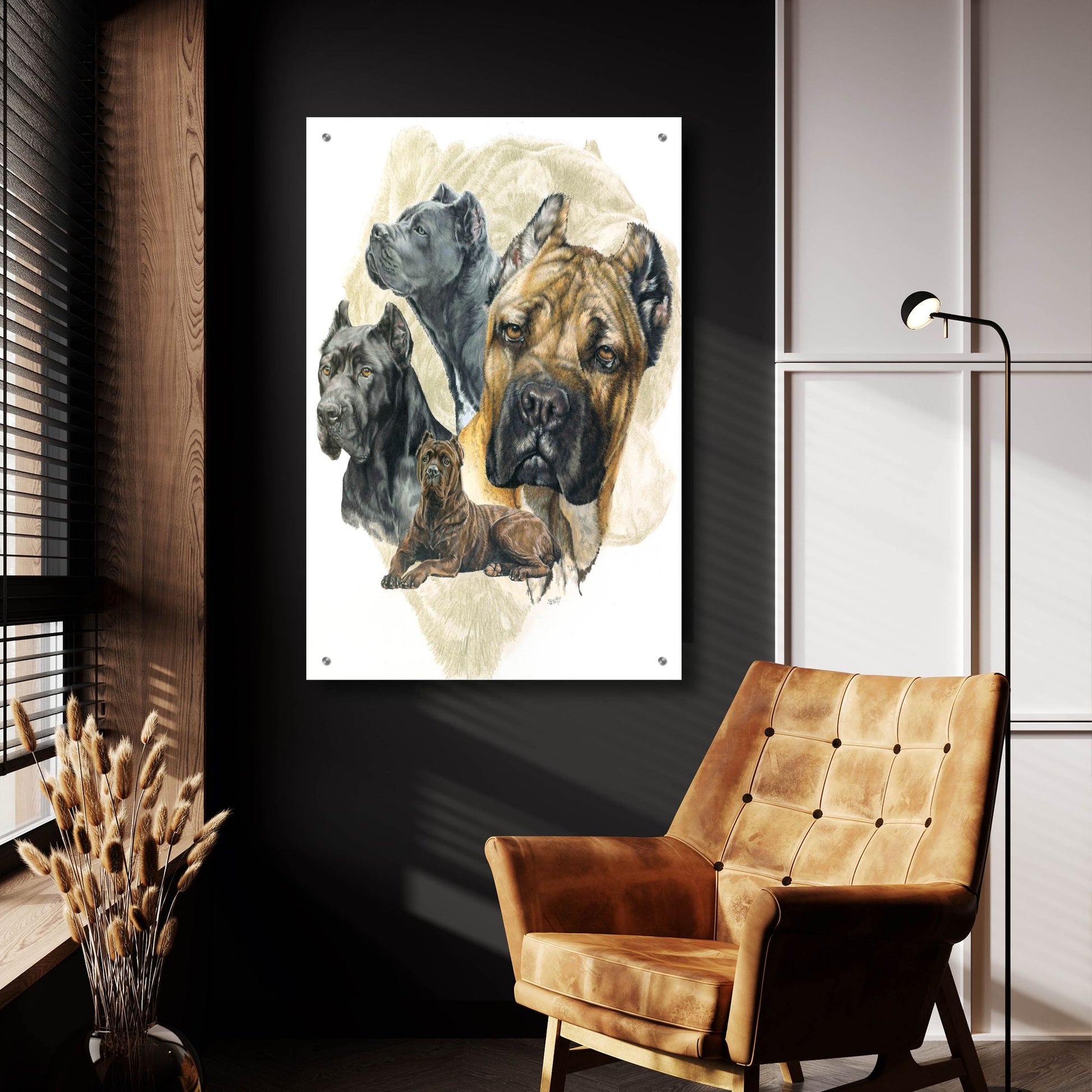 Epic Art 'Cane Corso' by Barbara Keith, Acrylic Glass Wall Art,24x36