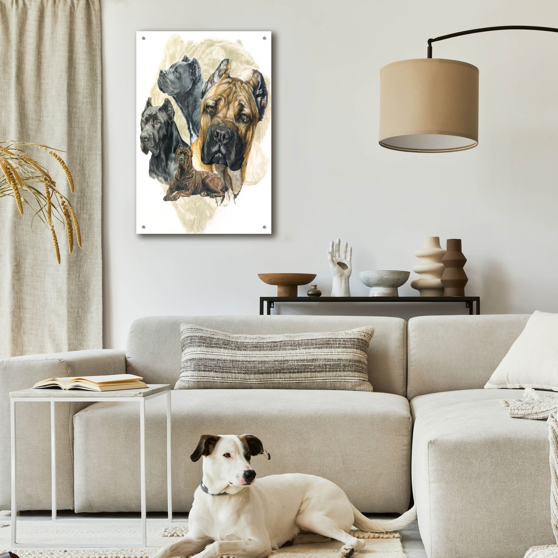 Epic Art 'Cane Corso' by Barbara Keith, Acrylic Glass Wall Art,24x36