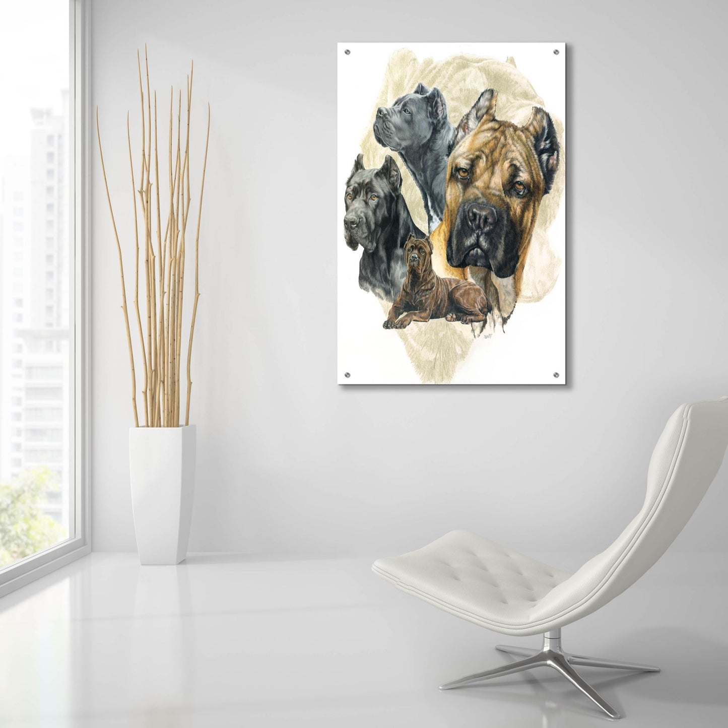 Epic Art 'Cane Corso' by Barbara Keith, Acrylic Glass Wall Art,24x36