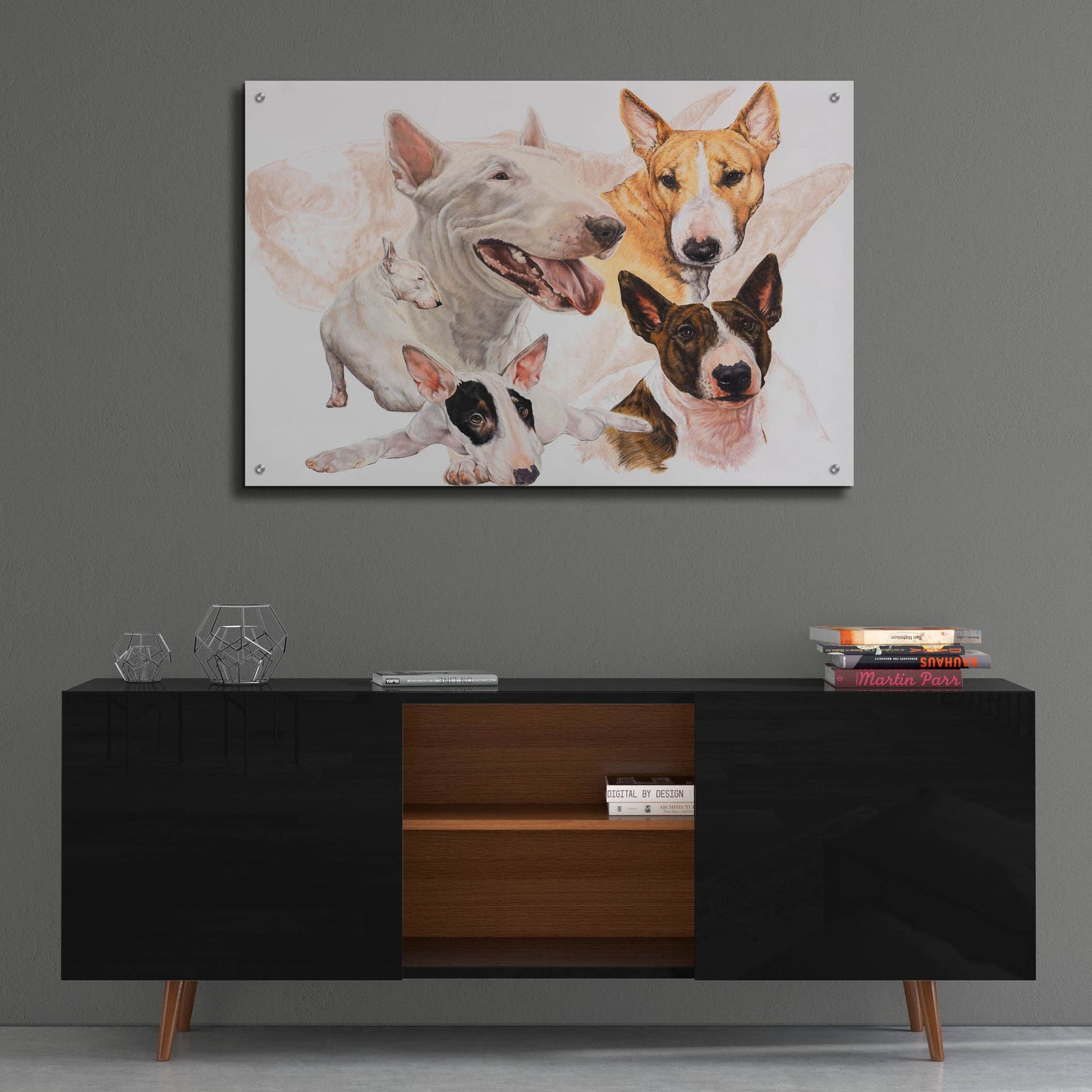 Epic Art 'Bull Terrier with Ghost Image' by Barbara Keith, Acrylic Glass Wall Art,36x24