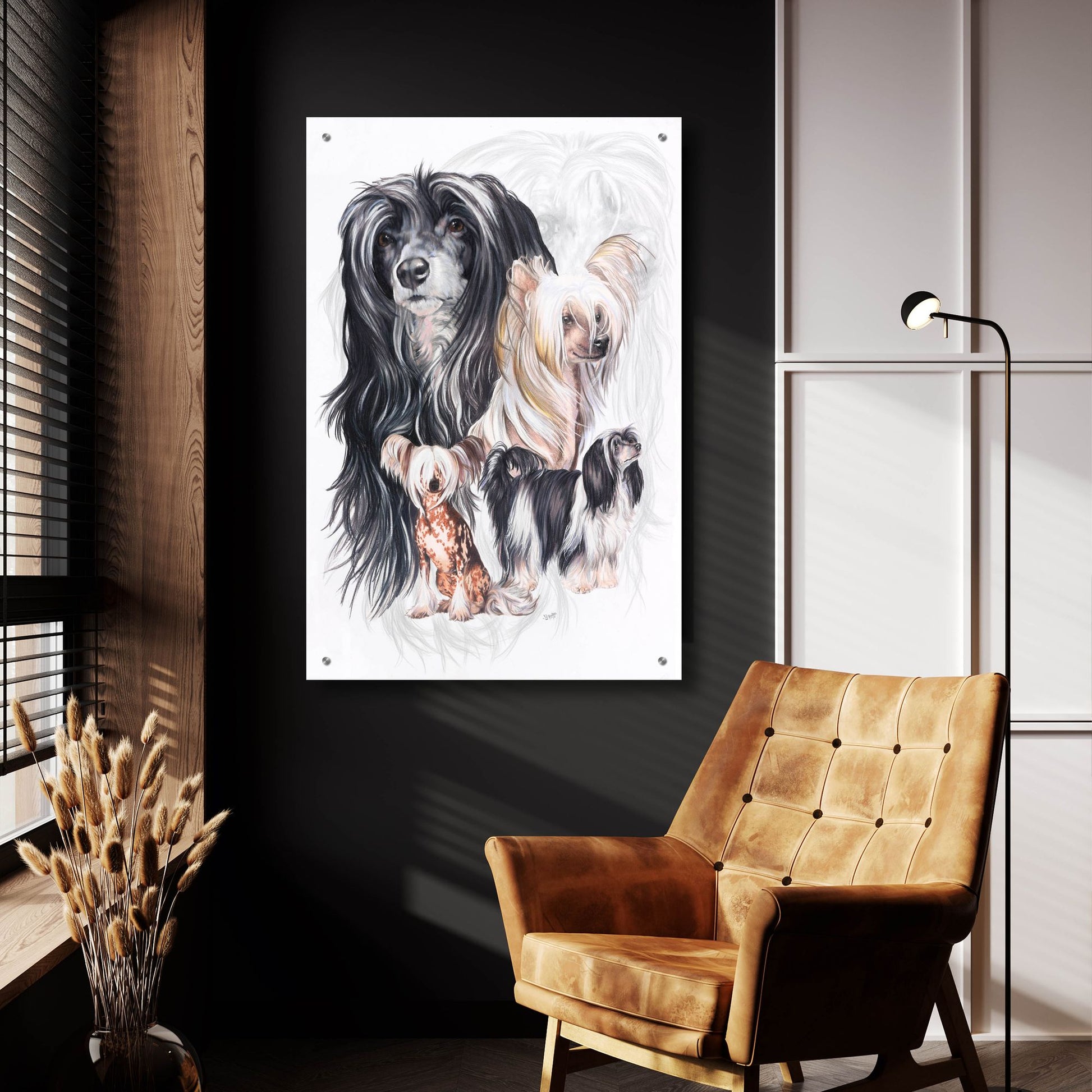 Epic Art 'Chinese Crested 2' by Barbara Keith, Acrylic Glass Wall Art,24x36