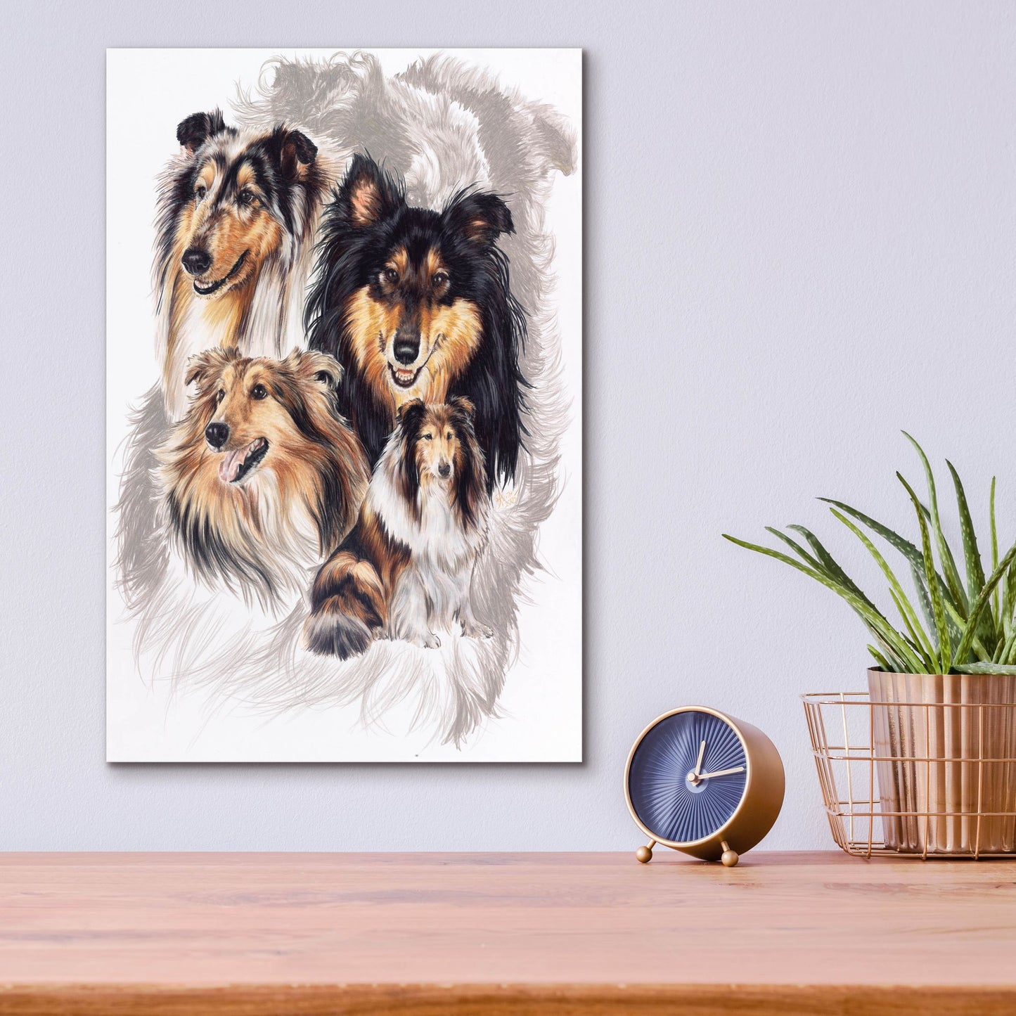 Epic Art 'Collie' by Barbara Keith, Acrylic Glass Wall Art,12x16