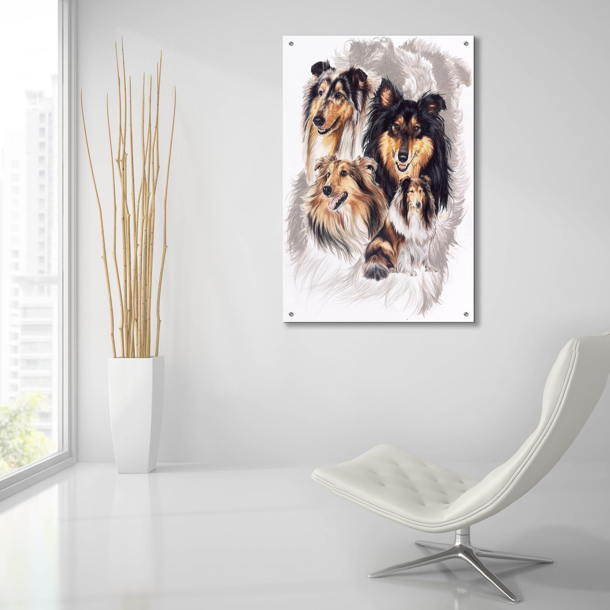 Epic Art 'Collie' by Barbara Keith, Acrylic Glass Wall Art,24x36