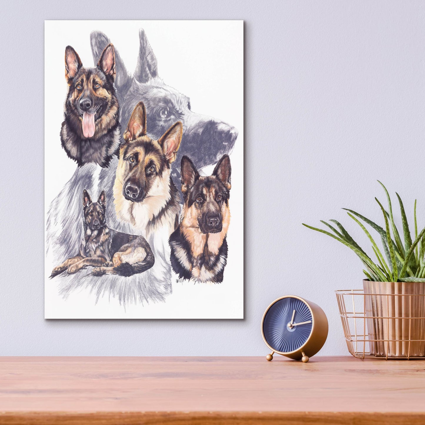 Epic Art 'German Shepard' by Barbara Keith, Acrylic Glass Wall Art,12x16