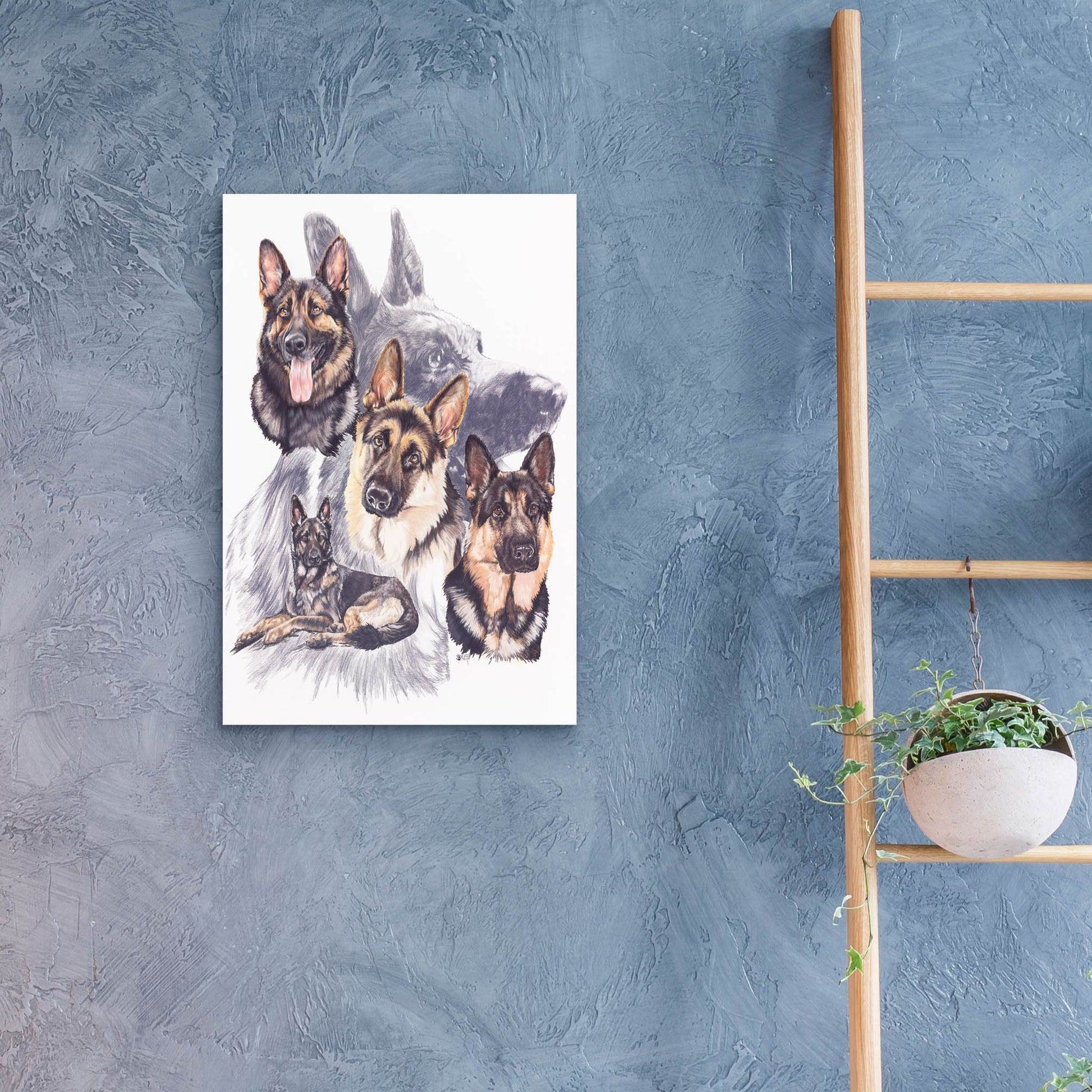 Epic Art 'German Shepard' by Barbara Keith, Acrylic Glass Wall Art,16x24